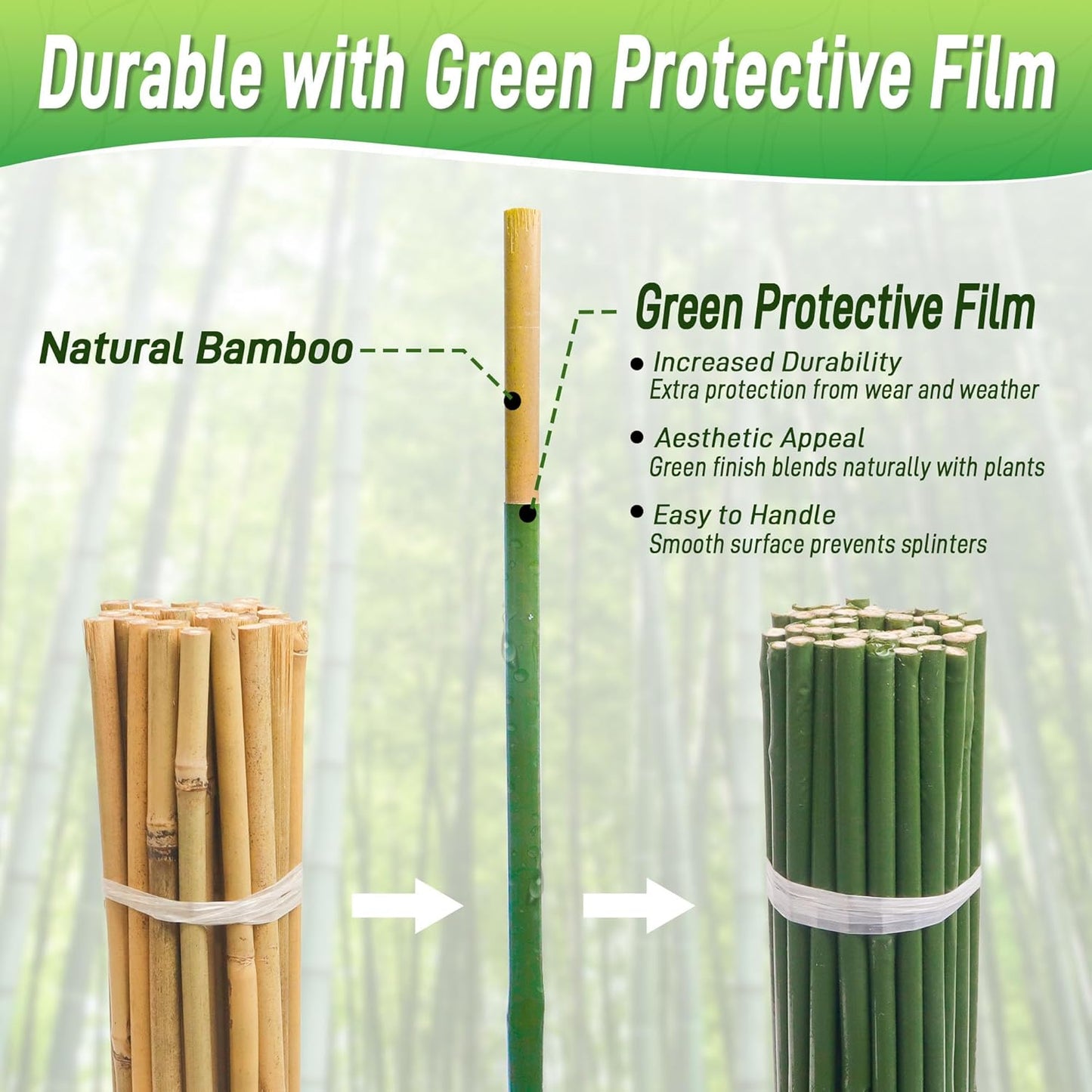 50Pcs 2ft Bamboo Sticks for Indoor Outdoor Plants, 0.29"-0.38" Natural Bamboo Poles, Durable Garden Stakes for Tomatoes, Beans, Flowers and Potted Plants