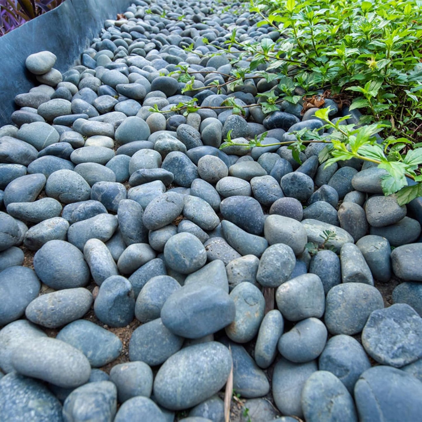 20 lbs Natural Unpolished Black Rocks Mexican Beach Pebbles, 2-3 Inch Decorative Black River Rocks for Outdoor Landscaping, Garden Paving, Plant Rocks, Fountain and Walkways