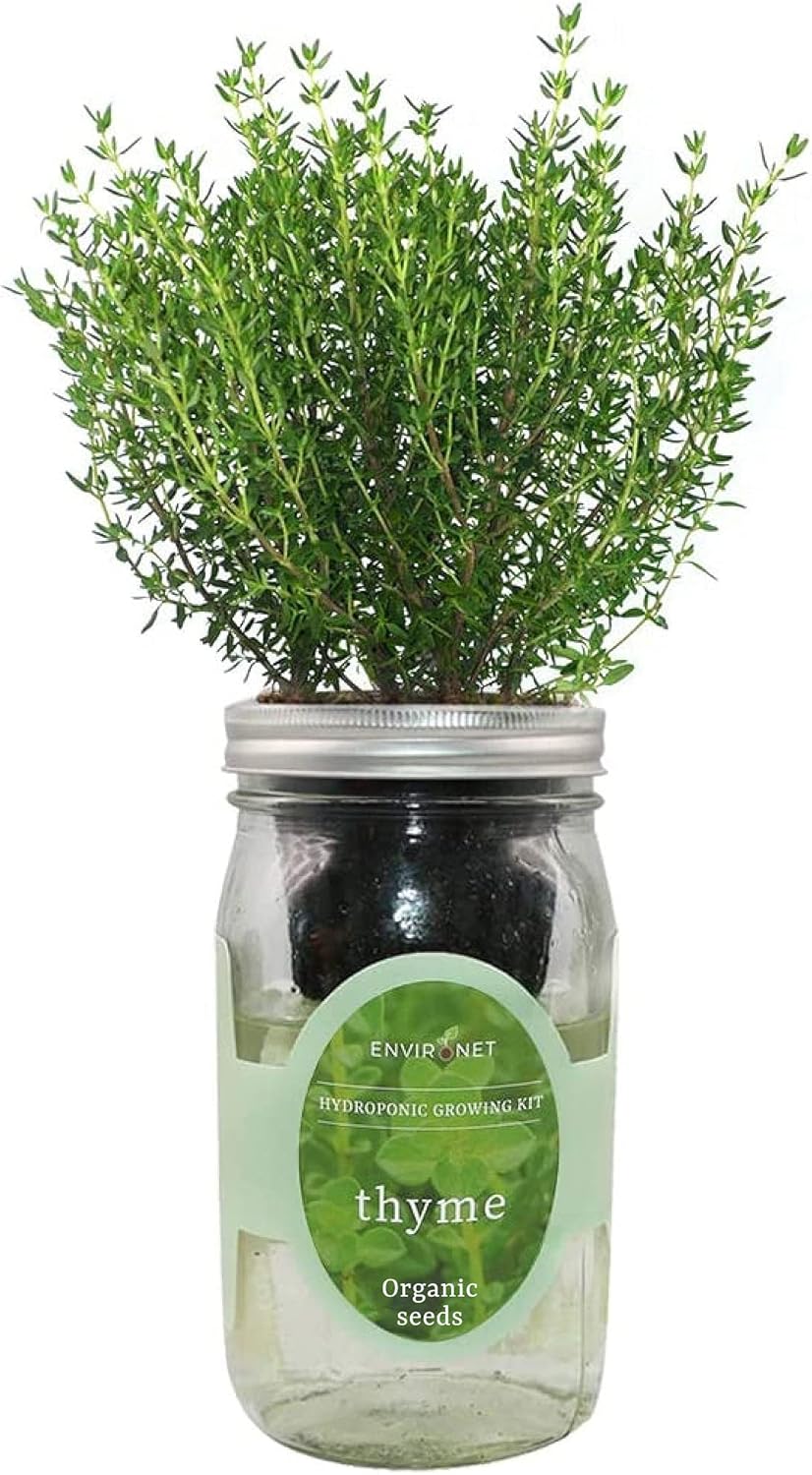 Hydroponic Herb Growing Kit, Self-Watering Mason Jar Herb Garden Starter Kit Indoor, Window Herbs Garden, Grow Your Own Herbs from Organic Seeds (Thyme)
