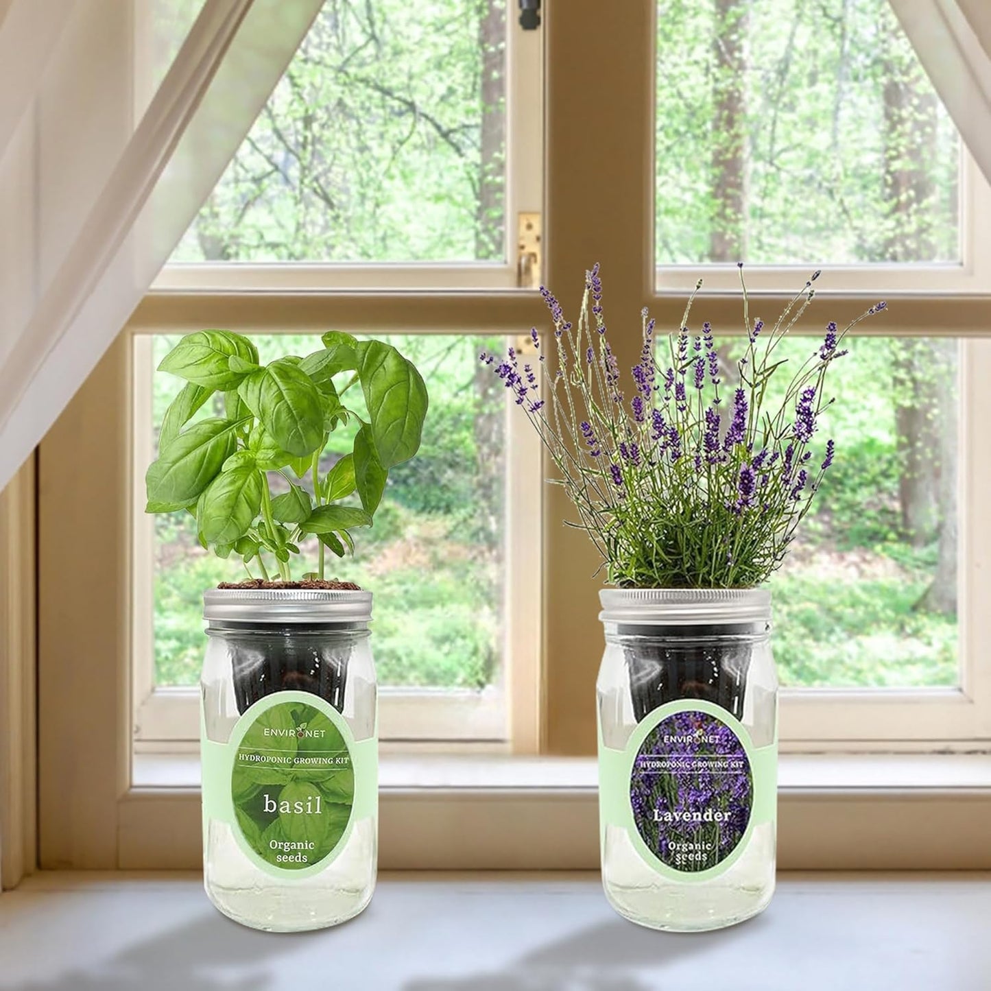 2-Pack Hydroponic Mason Jar Herb Garden Kit, Indoor Herb Garden Self-Watering Starter Kit (Basil,Lavender)