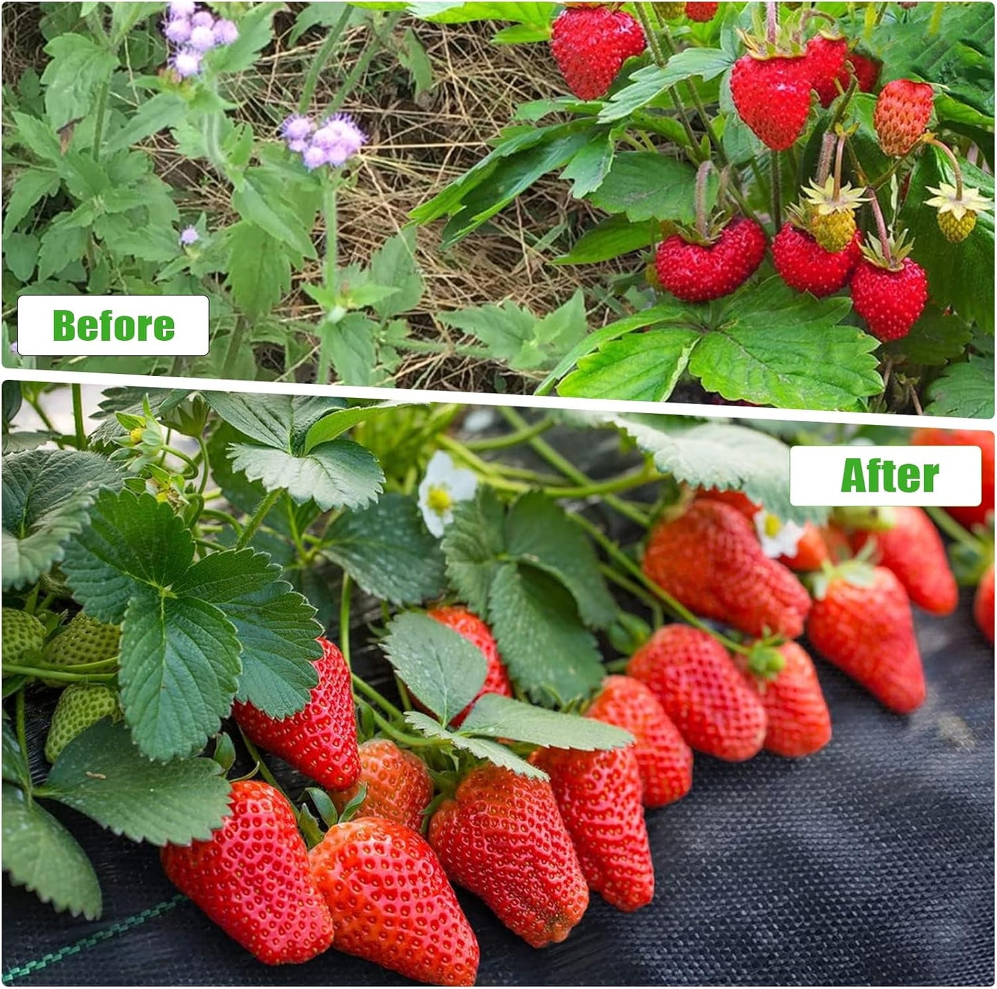 3FTx50FT Weed Barrier Fabric Heavy Duty, Gardening Landscape Fabric Cover Mat, Durable Weed Control Fabric for Garden Bed Cover, Landscaping, Commercial Driveway, Underlayment Use (3x50FT-3.2OZ)