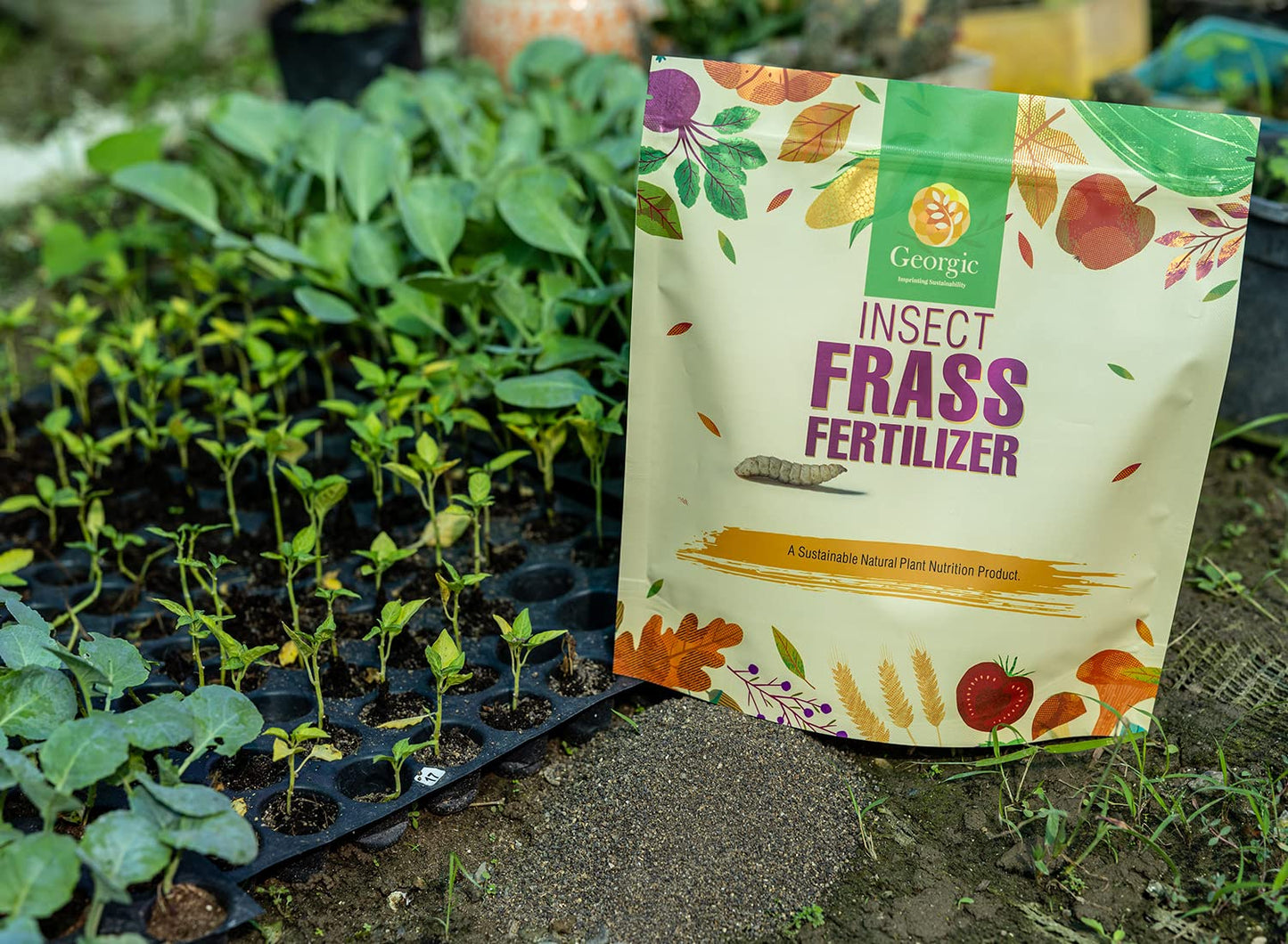 Insect Frass Fertilizer -100% Organic All-Purpose Plant Food & Soil Amendment, Natural Nutrients for Houseplants, Gardens & Lawns, 3 lb Bag