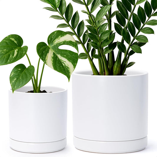 D'vine Dev 6.5 Inch & 8.2 Inch Ceramic Planter Pots for Plants with Drainage Hole and Saucer, Medium Plant Pots Set, White, 94-G-M-1