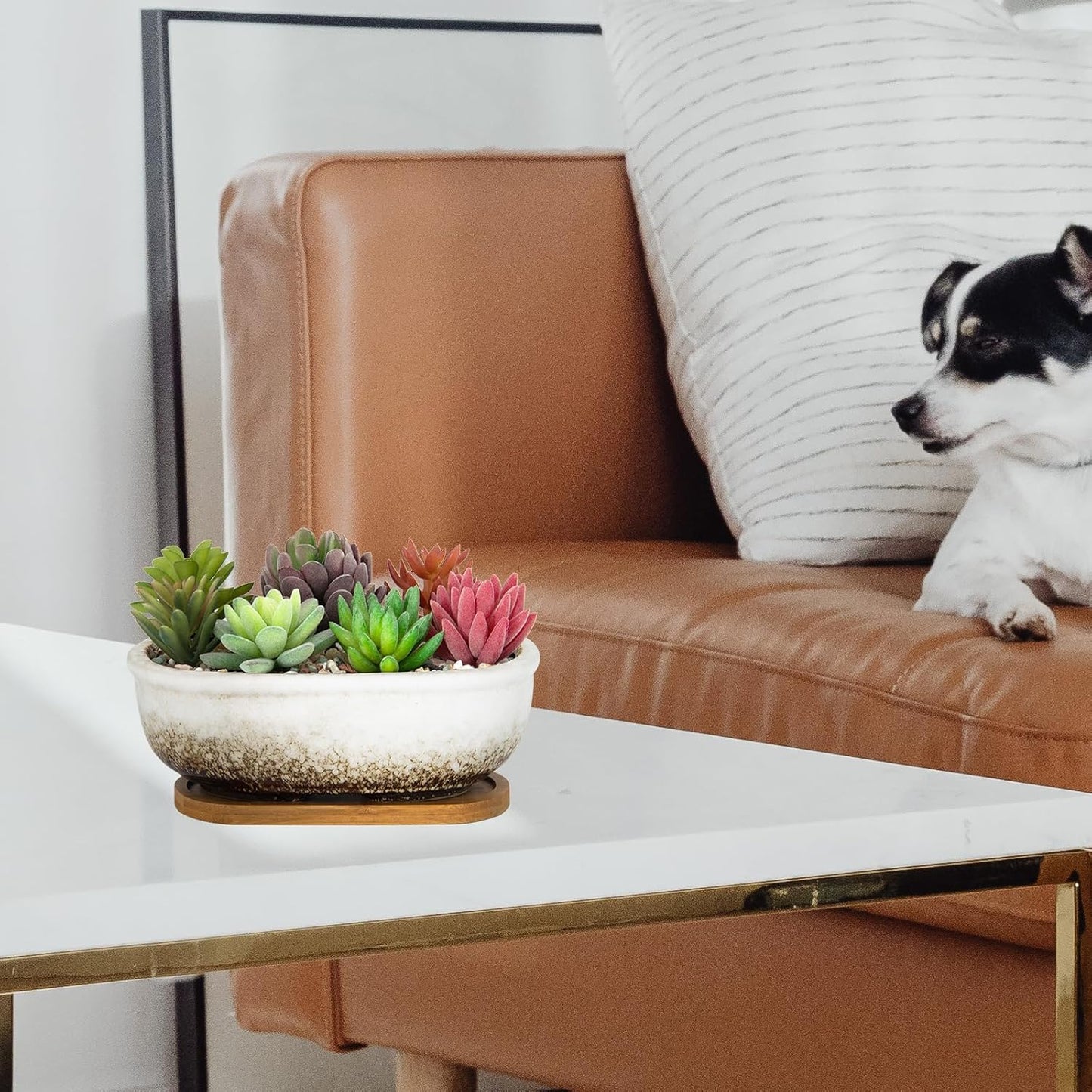 Succulent Pots, 7.9 Inch Long Rectangular Succulent Planters with Drainage Tray, Shallow Planters for Indoor Plants Ceramic Cactus Pots Glazed Bonsai Flower Plant Container for Home Windowsill Decor