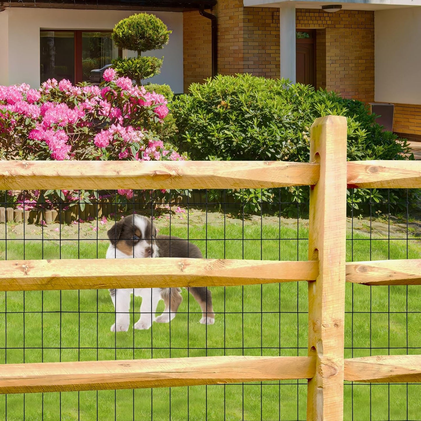 Black PVC Coated Welded Wire Fence 36 Inch x 50 Foot, 2 Inch x 4 Inch 15GA, Garden Border Fencing Roll Vinyl Coating Metal Wire Mesh Hardware Cloth for Yard Vegetable Plant Protection