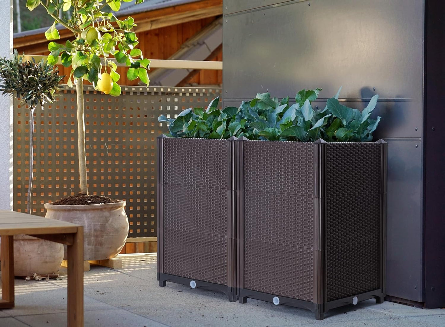 D'vine Dev Raised Patio Planter Box - Elevated Planter with Drainage Plug Raised Garden Beds for Growing Flowers, Herbs, Vegetables - Outdoor Standing Gardening Kit, Set of 2, RGB-D-2