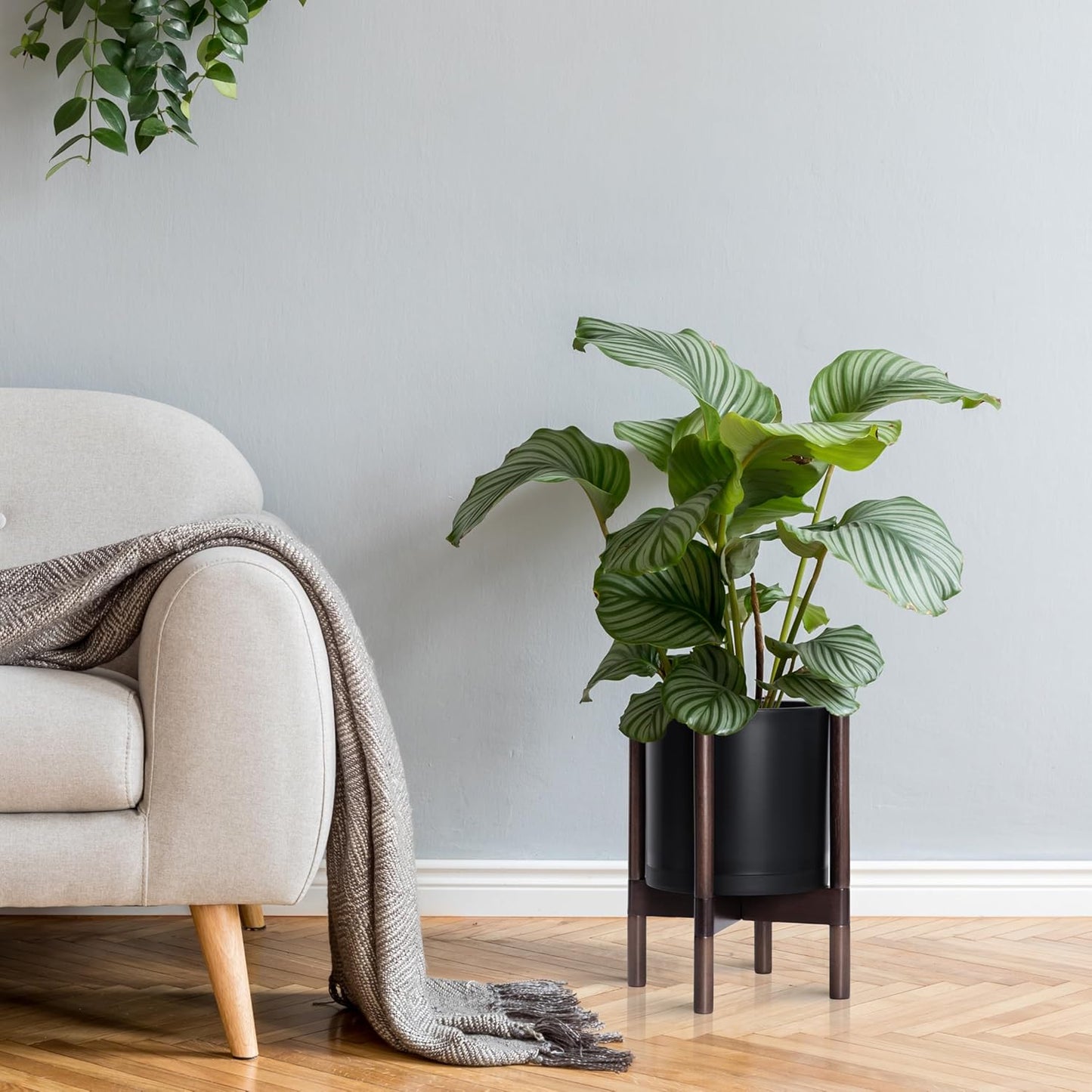 D'vine Dev Planter Pot with Stand - 10 Inch Plastic Cylinder Flower Pot with Wood Planter Holder for Indoor, Matte Black Pot + Walnut Color Stand, 55-C-L-2