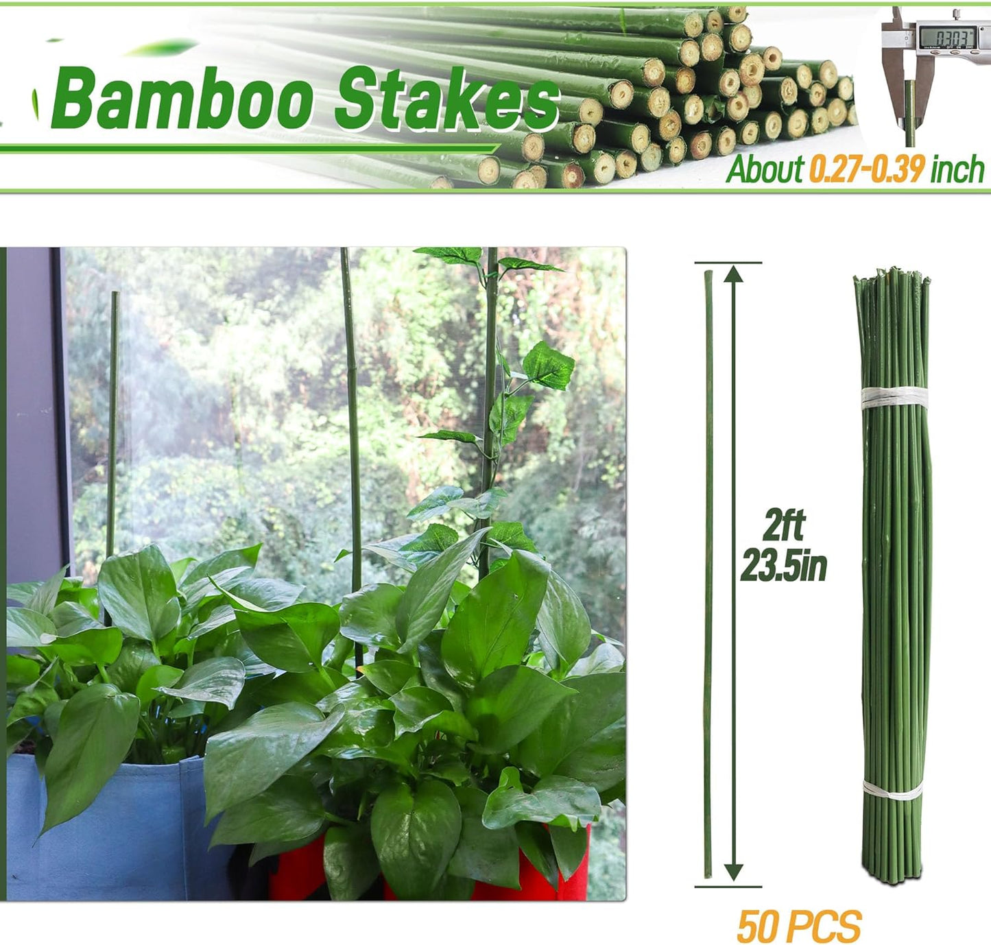 50Pcs 2ft Bamboo Sticks for Indoor Outdoor Plants, 0.29"-0.38" Natural Bamboo Poles, Durable Garden Stakes for Tomatoes, Beans, Flowers and Potted Plants