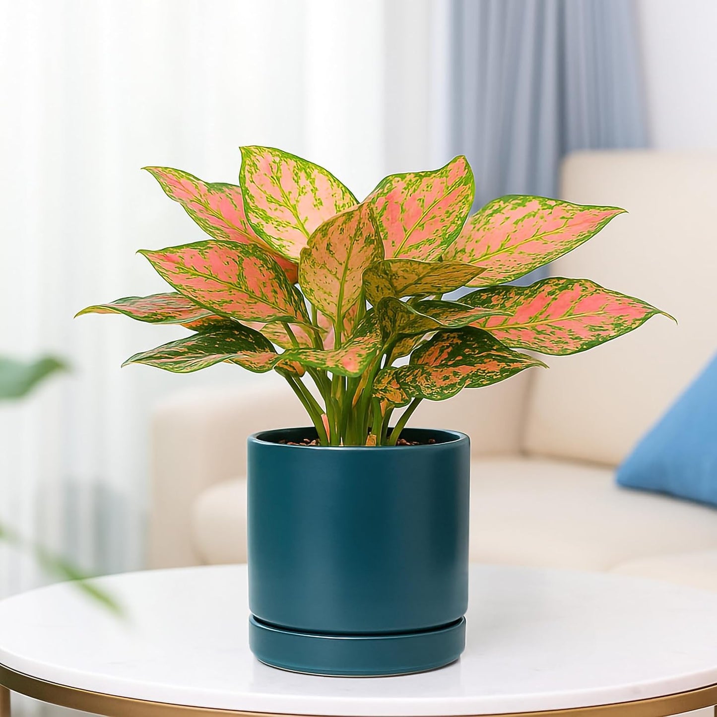 D'vine Dev 4.7 Inch & 6.5 Inch Ceramic Planter Pots for Plants with Drainage Hole and Saucer, Small Plant Pots Set, Teal, 94-G-S-9