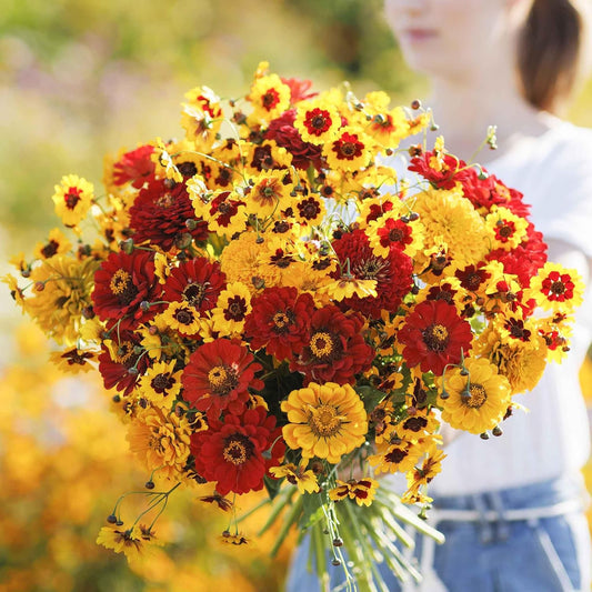 Eden Brothers Fiery Flower Mixed Seeds for Planting, 1/4 lb, 120,000+ Seeds with Zinnia Scarlet Flame, Plains Coreopsis | Attracts Pollinators, Plant in Spring or Fall, Zones 3, 4, 5, 6, 7, 8, 9, 10