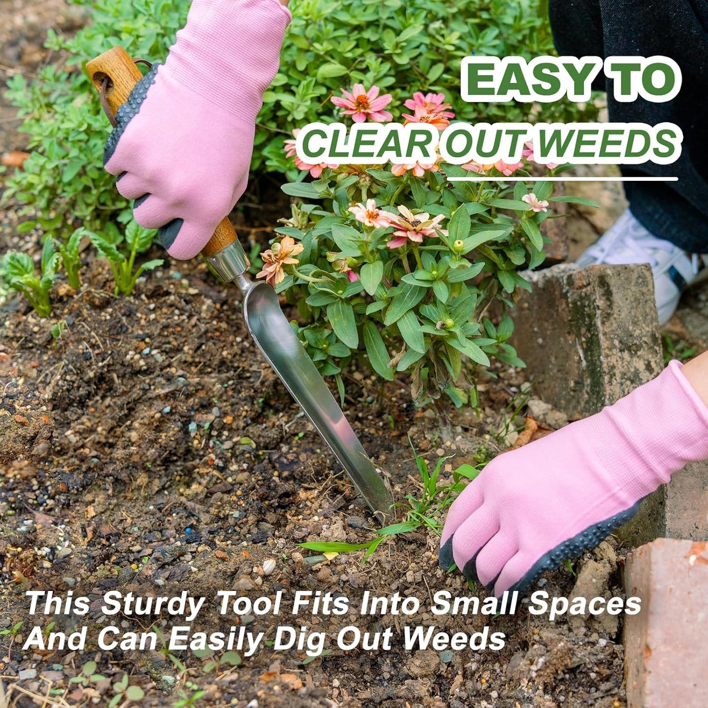 Haliaeetus Seeding Widger, Stainless Steel Garden Planting Trowel for Repotting, Long and Narrow Widger for Weeding from Tight Areas, Hand Transplanter with Wood Handle for Planting, Weeding, Digging