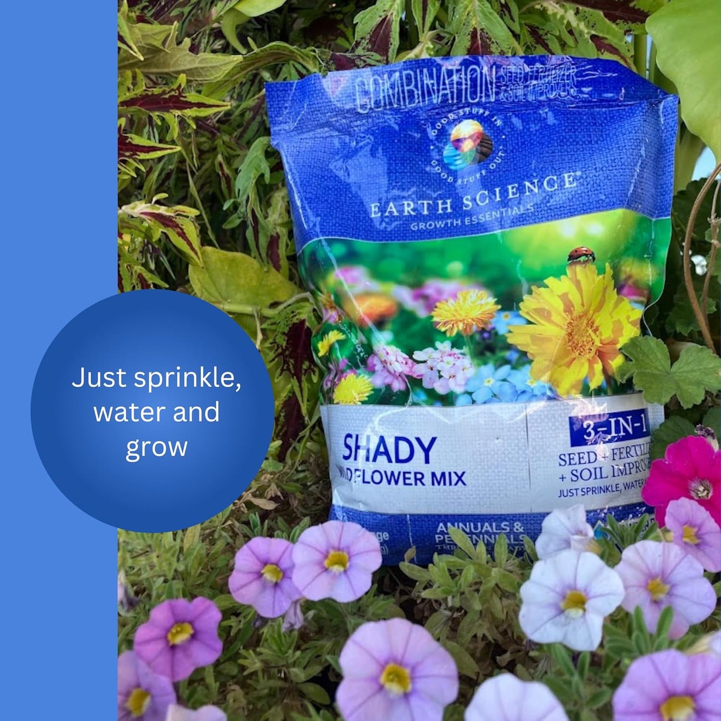 Earth Science Shady Wildflower Mix— 6 lb— 3-in-1 Formula with Premium Wildflower Seeds, Plant Food and Soil Conditioners - Non-GMO, Natural Ingredients