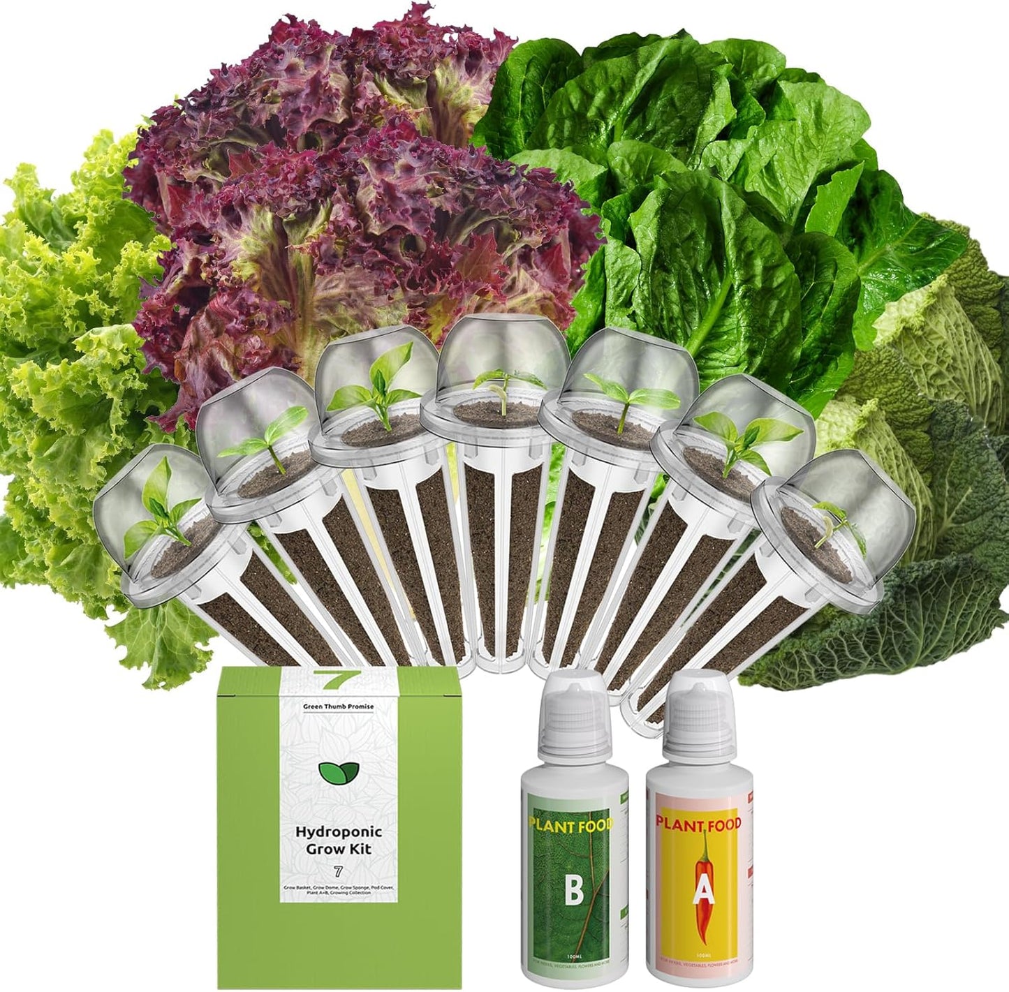 inbloom Salad Romaine Lettuce Seed Pod Kit for AeroGarden, Ahopegarden Hydroponics Growing System, 7-Pods (350+ Seeds, Include American Fast Lettuce, Parris Island Lettuce, Butter Lettuce)