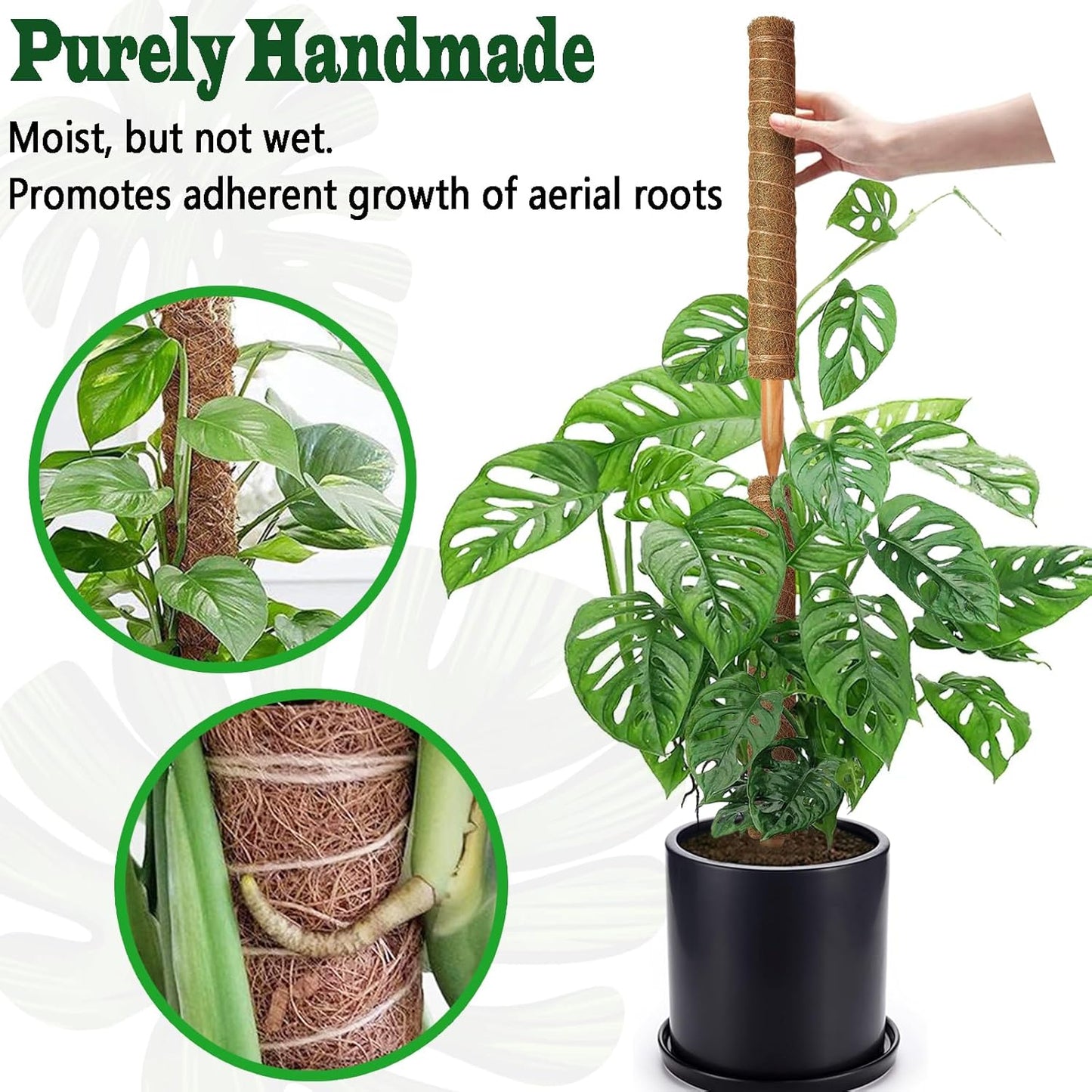 2 Pack 21 Inch Moss Poles, Stackable Moss Pole for Plants Monstera, 37 Inch Tall Moss Poles for Climbing Plants Indoor, Coir Totem Plant Support Stakes Stand for Potted Plants, Pothos