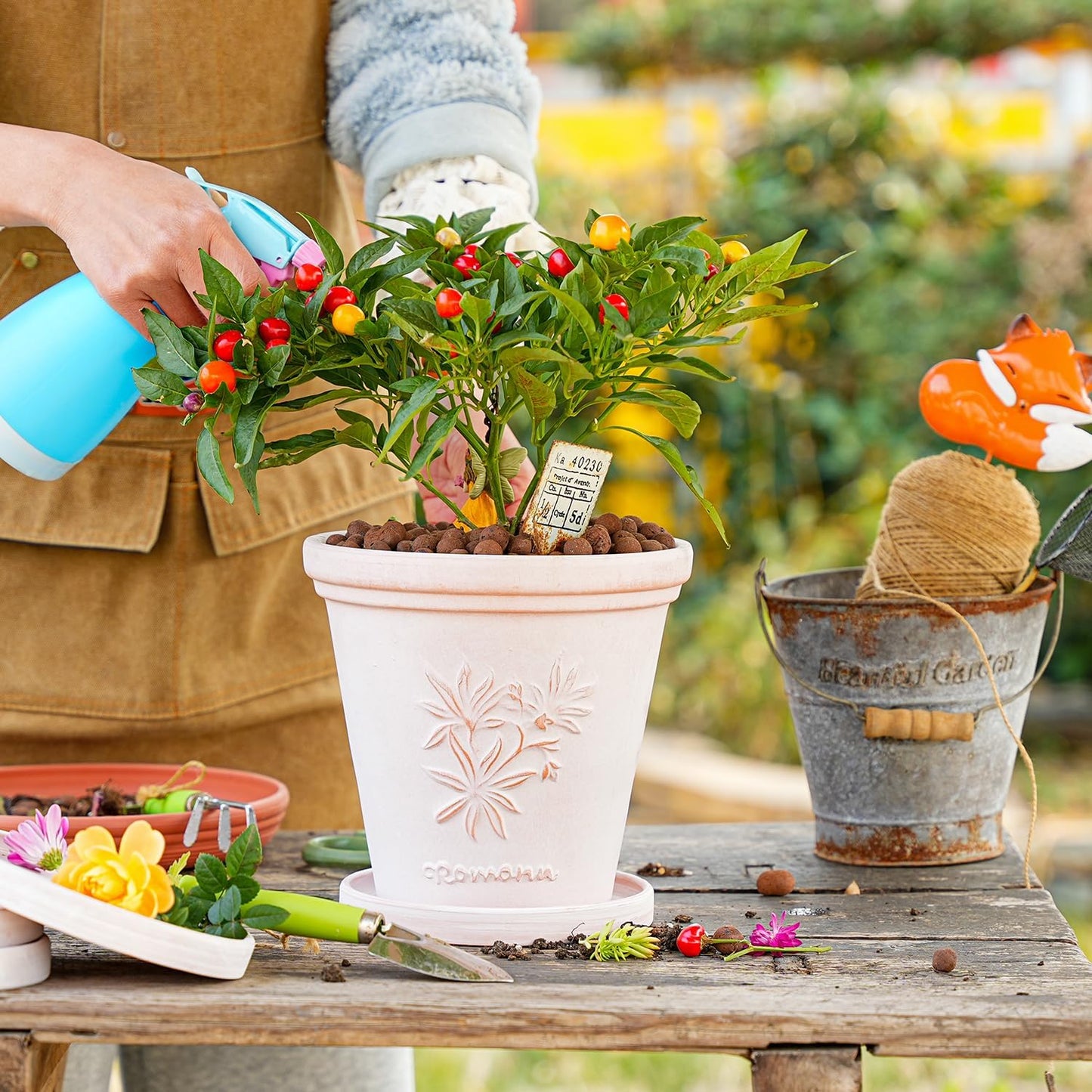 Sungmor Set of 3 Terra Cotta Pots with Saucer & Drainage Hole, 8 Inch Large & Deep Clay Pots, Unique Embossed & Pretty Color Pottery Planters for Plants Orchid Cactus Succulent
