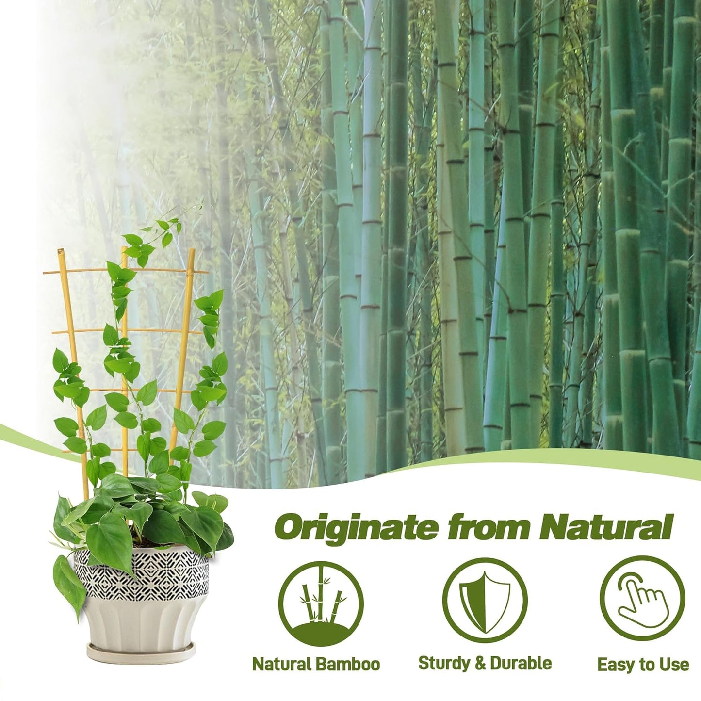 Avalution 10 Pack Bamboo Trellis for Climbing Plants 16" Natural Garden Ladder Trellis, Fan -Shaped Plant Support Trellis for Potted Plant Decor