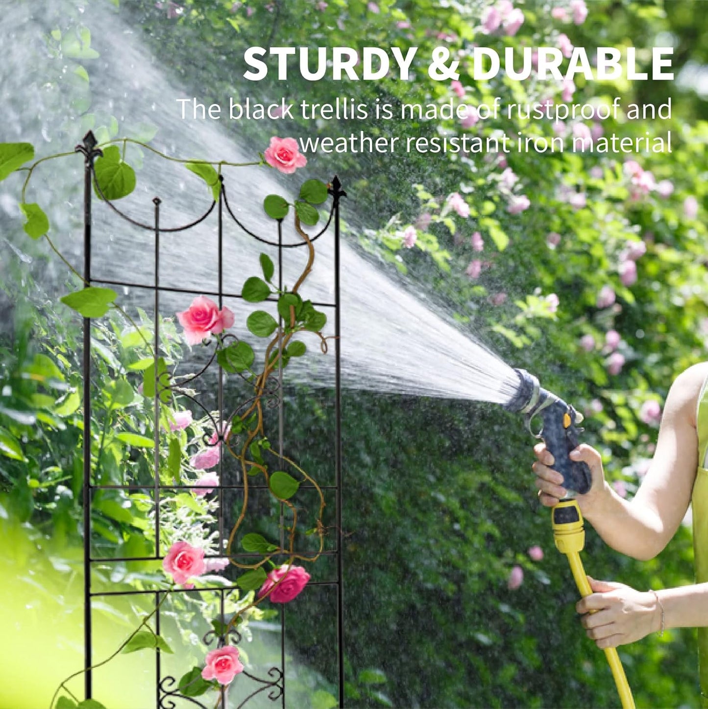 Trellis 70” x 20” for Climbing Plants 6FT Metal Iron Wire Vine Flower Trellises for Outdoor Climbing Plants Support