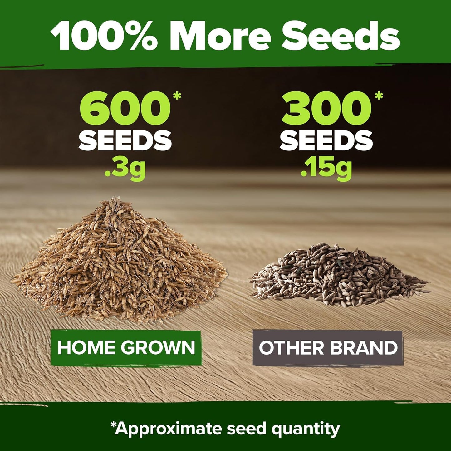 HOME GROWN 𝗨𝗦𝗔 𝗣𝗥𝗘𝗠𝗜𝗨𝗠 Dandelion Seeds for Planting – 600 Heirloom Medicinal Herb Seeds (~0.3g) 𝗡𝗢𝗡-𝗚𝗠𝗢 Grow Edible Leaves and Flowers for Remedies or Wildlife (Taraxacum officinale)