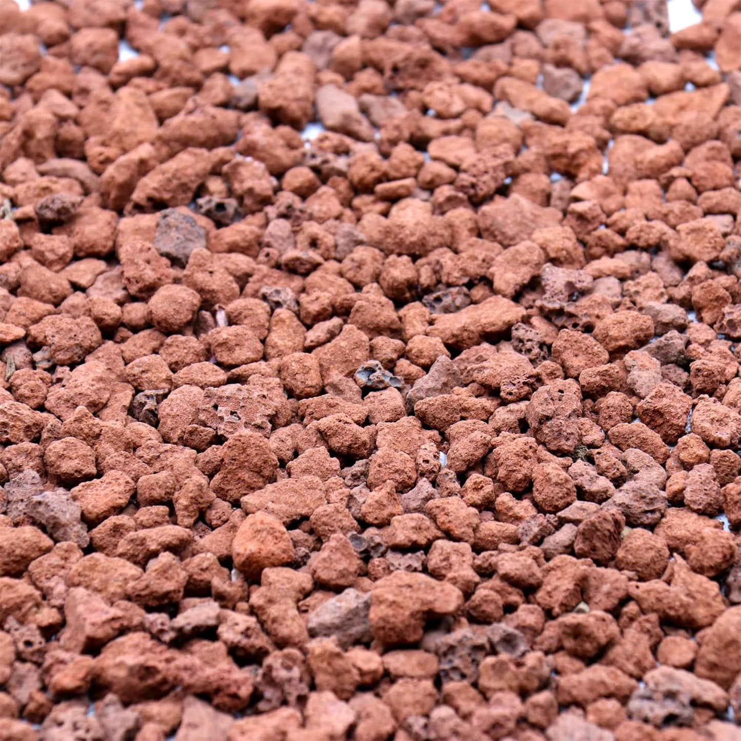 Volcanic Rock for Plants. Red Color Lava Rock. 1/5 Inch - 10 lbs for Potting Succulents, Pots, Plants, Gardening, Indoor, Crafting, Vase Fillers