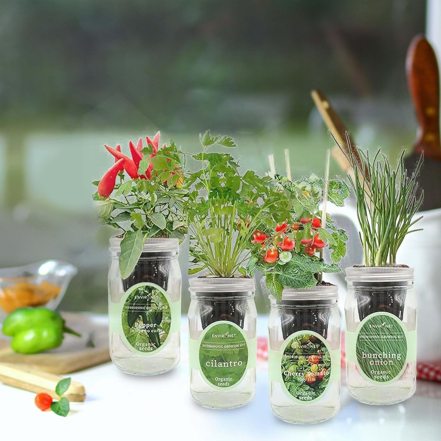 Hydroponic Mason Jar Indoor Garden Organic Seed Starter Kits - Taste of Asia Garden Growing Kits, Gardening Gift (Sweet Nardello Pepper, Mint, Thai Basil, Cilantro)