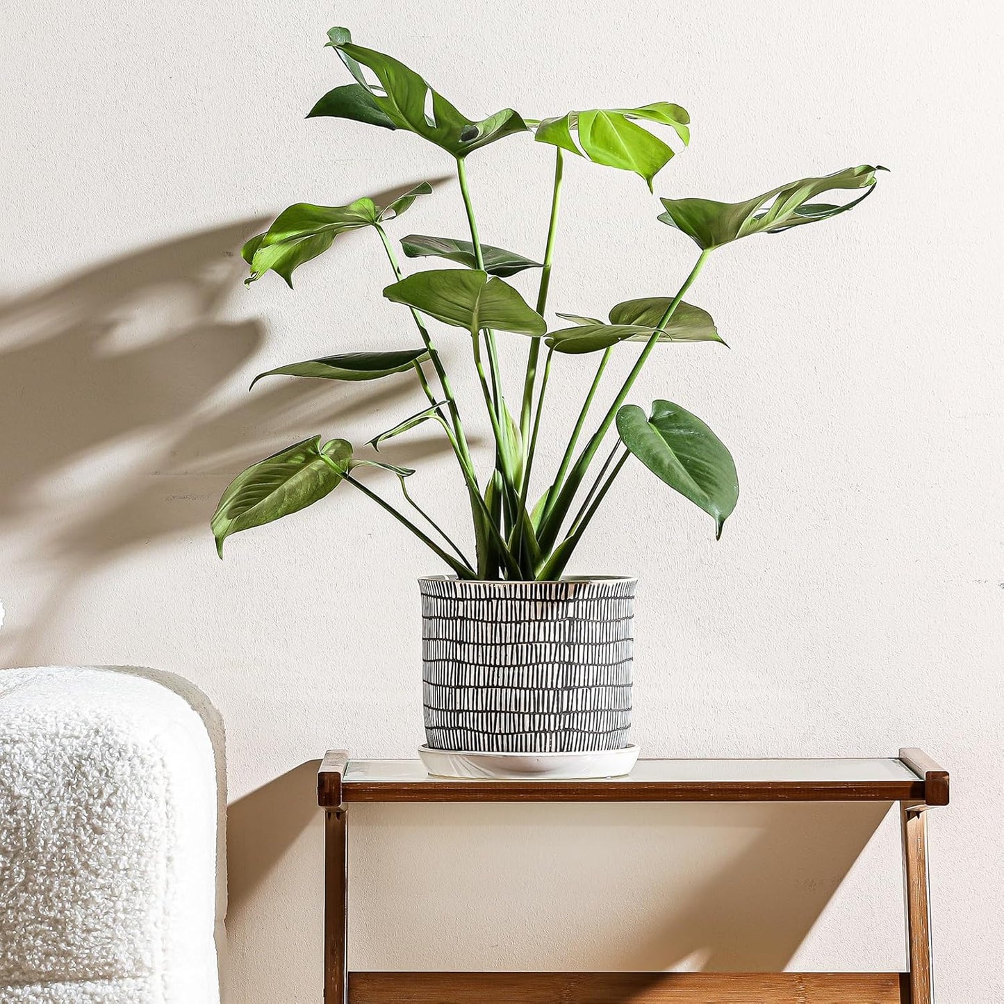 8 Inch Plant Pot: Ceramic Planter with Drainage Hole & Saucer - Cylinder Flowerpot for Indoor & Outdoor Plants - with Separate Tray for Home & Office - Striped Design