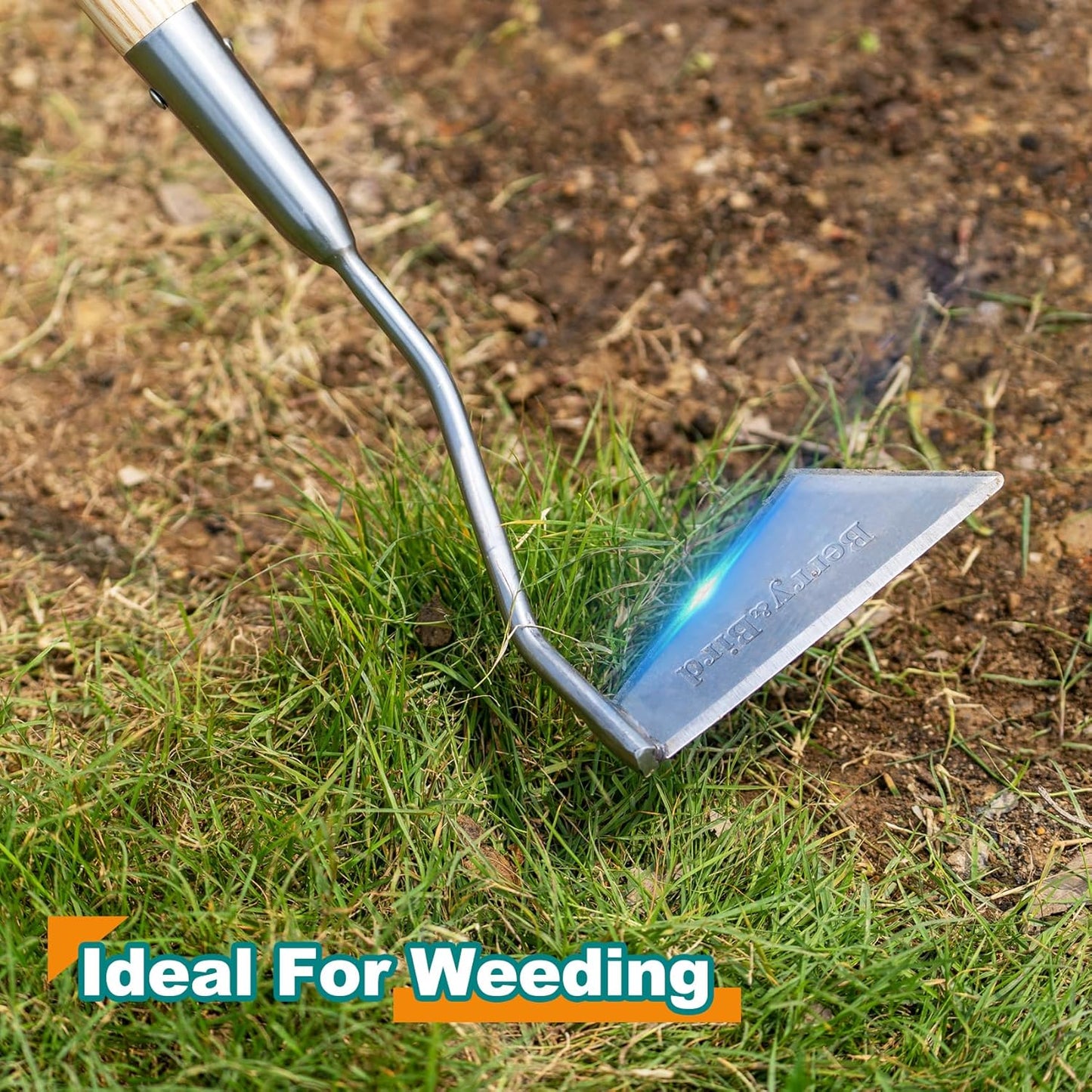 Berry&Bird Swoe Garden Hoe, 61.8'' Stainless Steel Long Handled 3 Edge Hoe with Wooden Hand, Mini Angled/Warren Hoe, Soil Cultivator Weeding Tool for Grass Flower Backyard