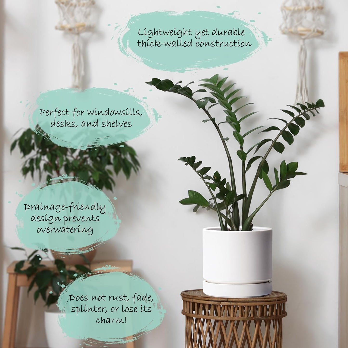 Phoenix Vine 8 Inch Planter Pot with Drainage Hole & Saucer, Deep Water Catch Tray, Straight Cylindrical Round Pot for Plants, Matte White, Pack of 1, 23-B-T-1