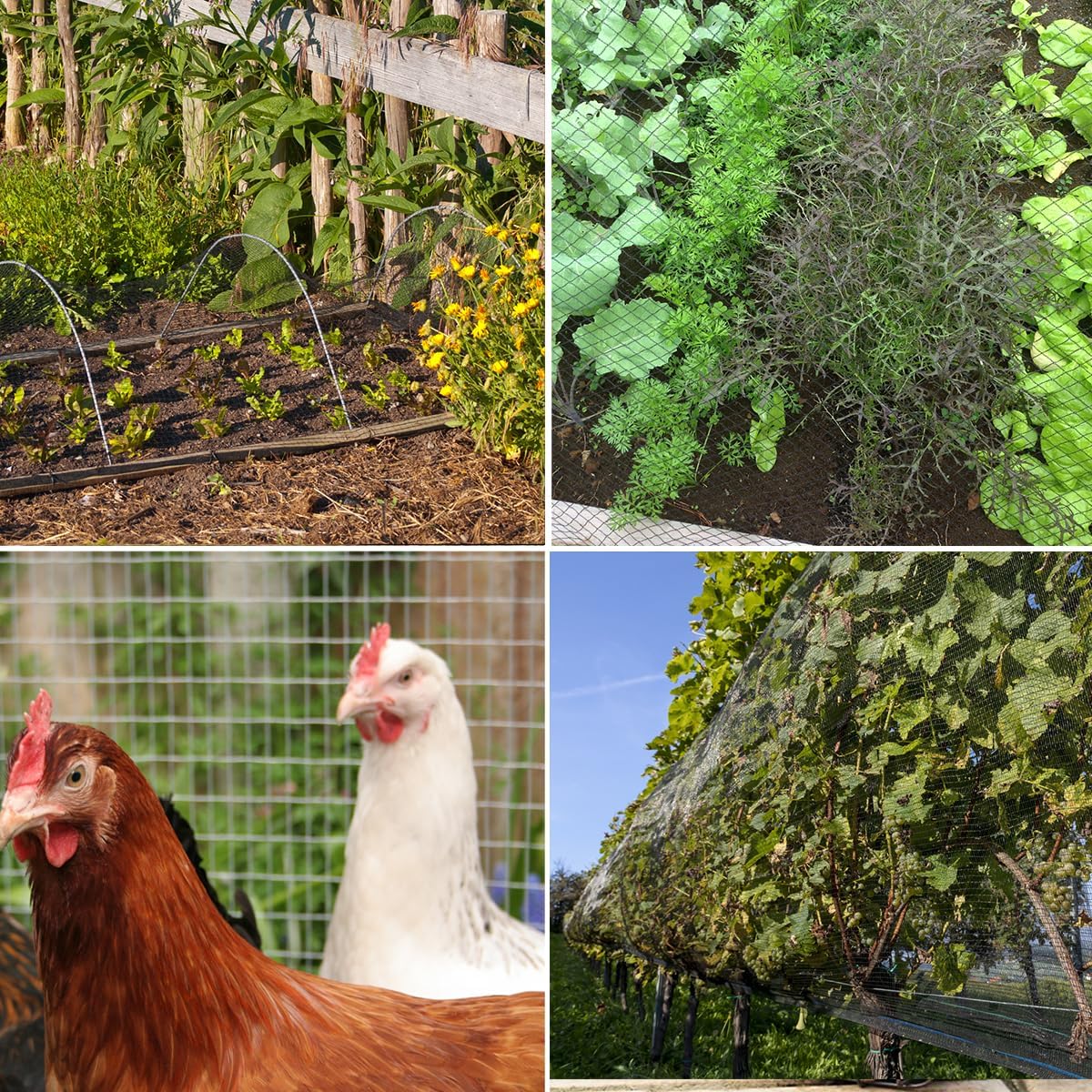 Bird Netting，7.5 x 100 FT Garden Netting Bird Net for Chicken Coop, Poultry Netting Fence for Fruit Trees, Plants and Vegetables Against Birds, Deer, Squirrels and Other Animals