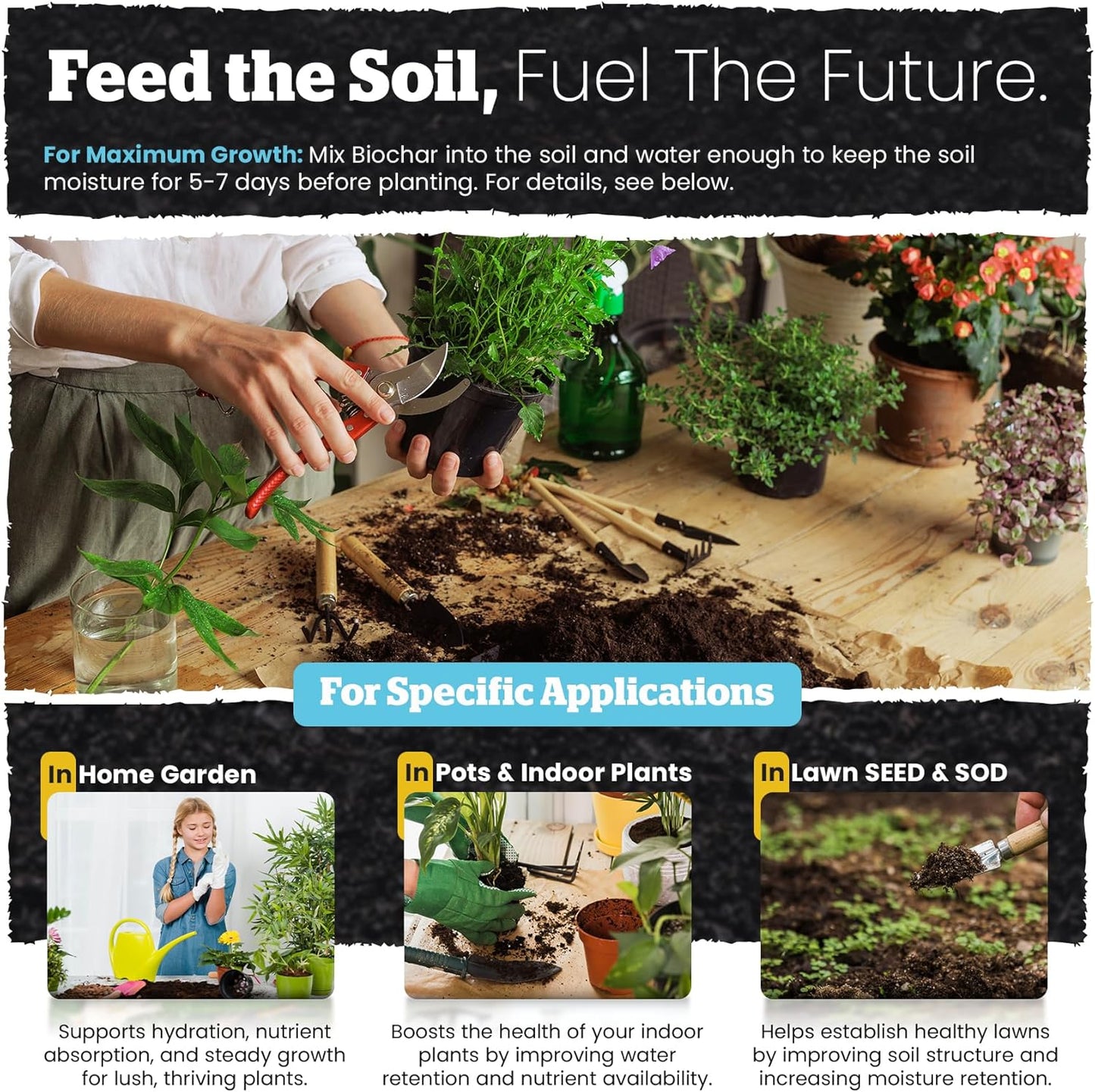 Wakefield Premium Organic Biochar Soil Amendment & Soil Conditioner – Certified Carbon-Negative Nutrient-Locking, Water-Efficient Bio Char for Plants & Lawns - Soil Amendments for Lawn - 2 Quart