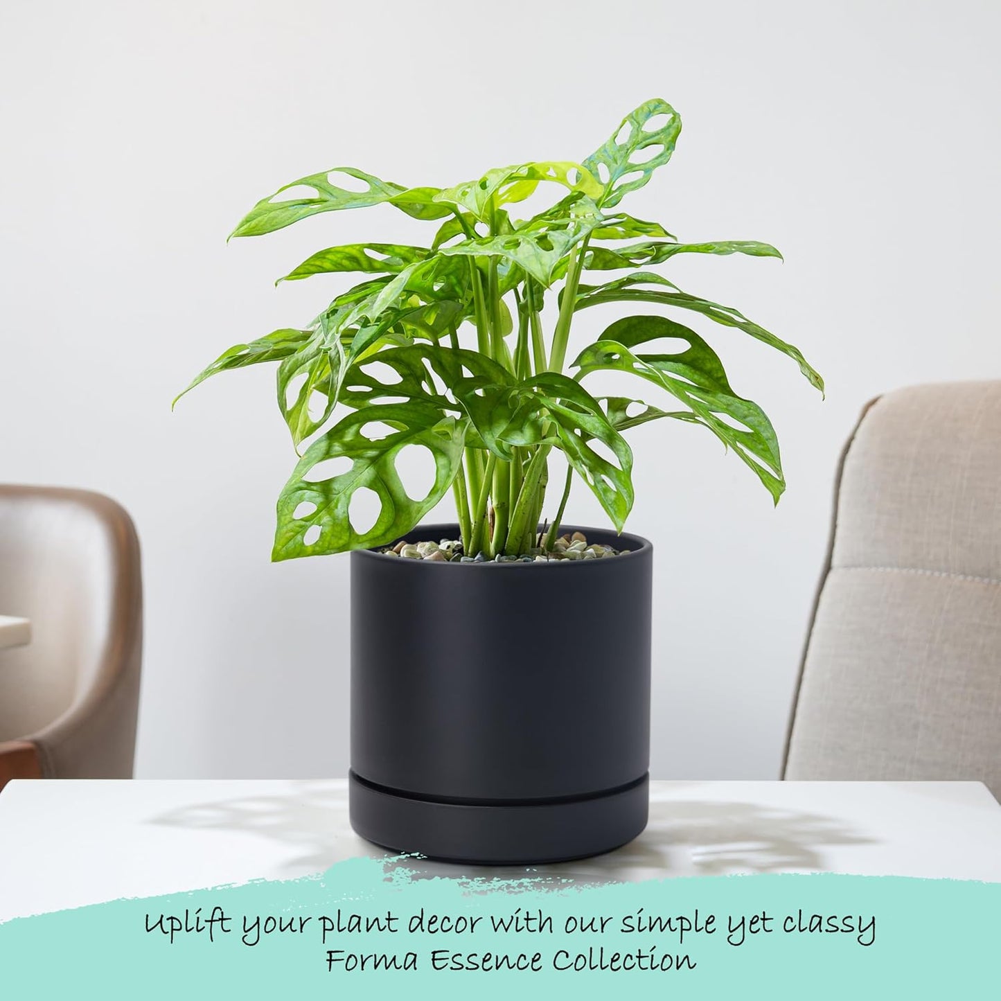 Phoenix Vine 6 Inch Planter Pot with Drainage Hole & Saucer, Deep Water Catch Tray, Straight Cylindrical Round Pot for Plants, Matte Black, Pack of 1, 23-C-S-1