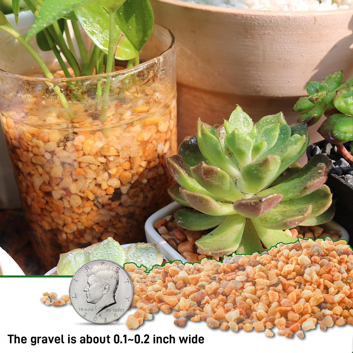 45lb Cactus Pea Gravel Rocks,1/5 Inch Pebbles for Indoor Plants, Natural Succulent Rock and River Rocks Decorative for Aquariums, Vases, Terrarium, Outdoor Gardening, Top Dressing for Potted Plants