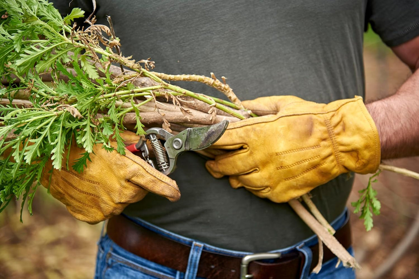 Corona BP 3180D Forged Classic Bypass Pruner with 1 Inch Cutting Capacity, 1", Red