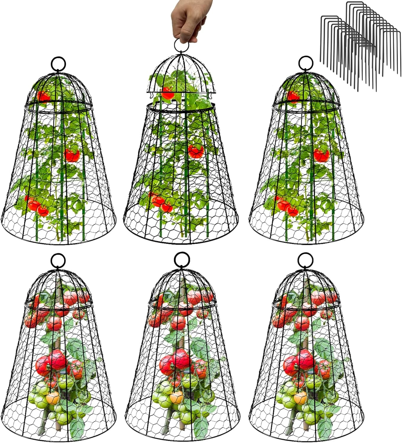 Garden Cloches for Plants Extra Large Sapbontchi Garden Cloche Chicken Wire Cloche for Plants Cages Cover Plant Protectors from Animals in Outdoor Vegetable Garden Set of 6 Plant Cloche 20" H x 12" D