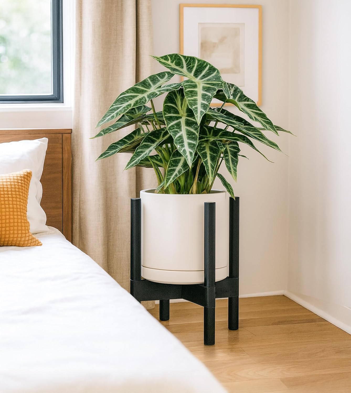 D'vine Dev Ceramic Planter with Ebony Stand - 8 Inch Modern Round Flower Pot with Wood Planter Holder, Oatmeal, 55-B-M-8