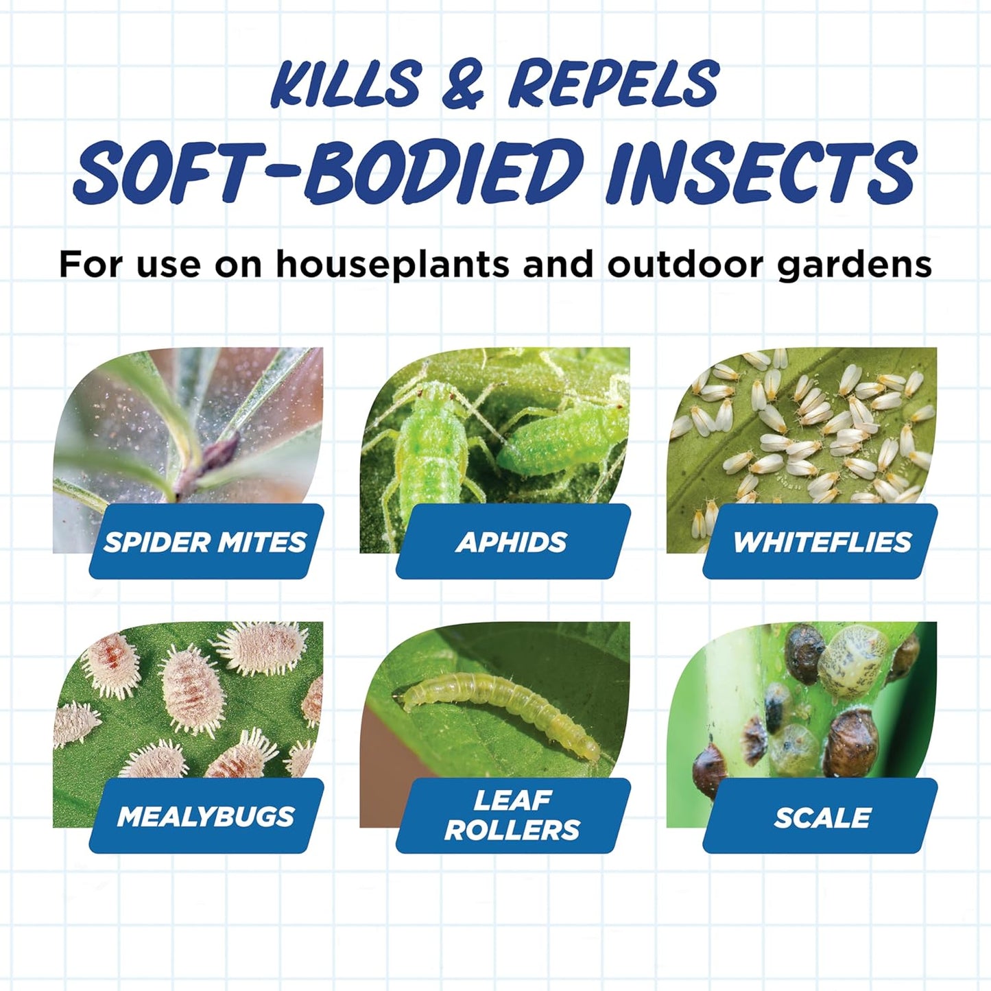 Earth's Ally Insect Control Concentrate for Plants 32 oz | Safe Outdoor & Indoor Plant Insecticide, Spider Mite, Aphid & Mealybug Killer - for Organic Garden & Household Plants