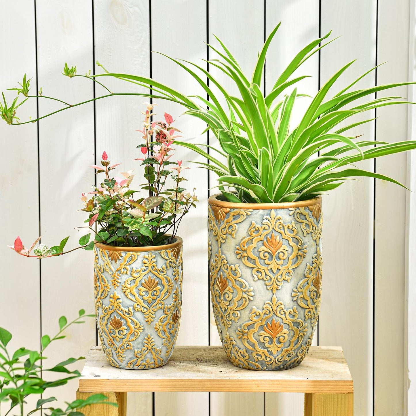 Sungmor Cement Planter Succulent Pots, Set of 2 Concrete Cactus Plant Pot with Drainage Hole, Embossed Design Flower Pot for Home Office Decor, 4.9 Inch & 6.1 Inch Indoor Outdoor Plants Container