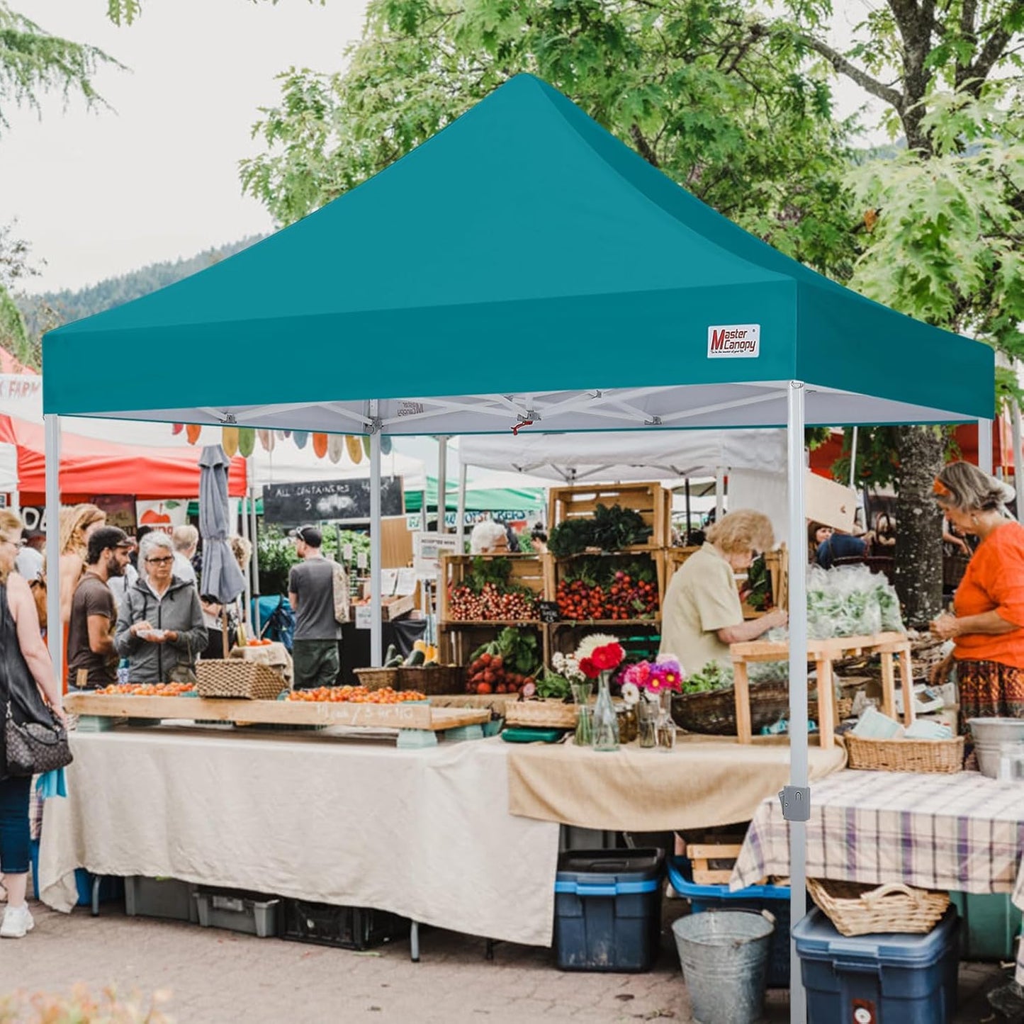 MASTERCANOPY Pop Up Canopy Tent Commercial Grade 10x10 Instant Shelter (Turquoise)