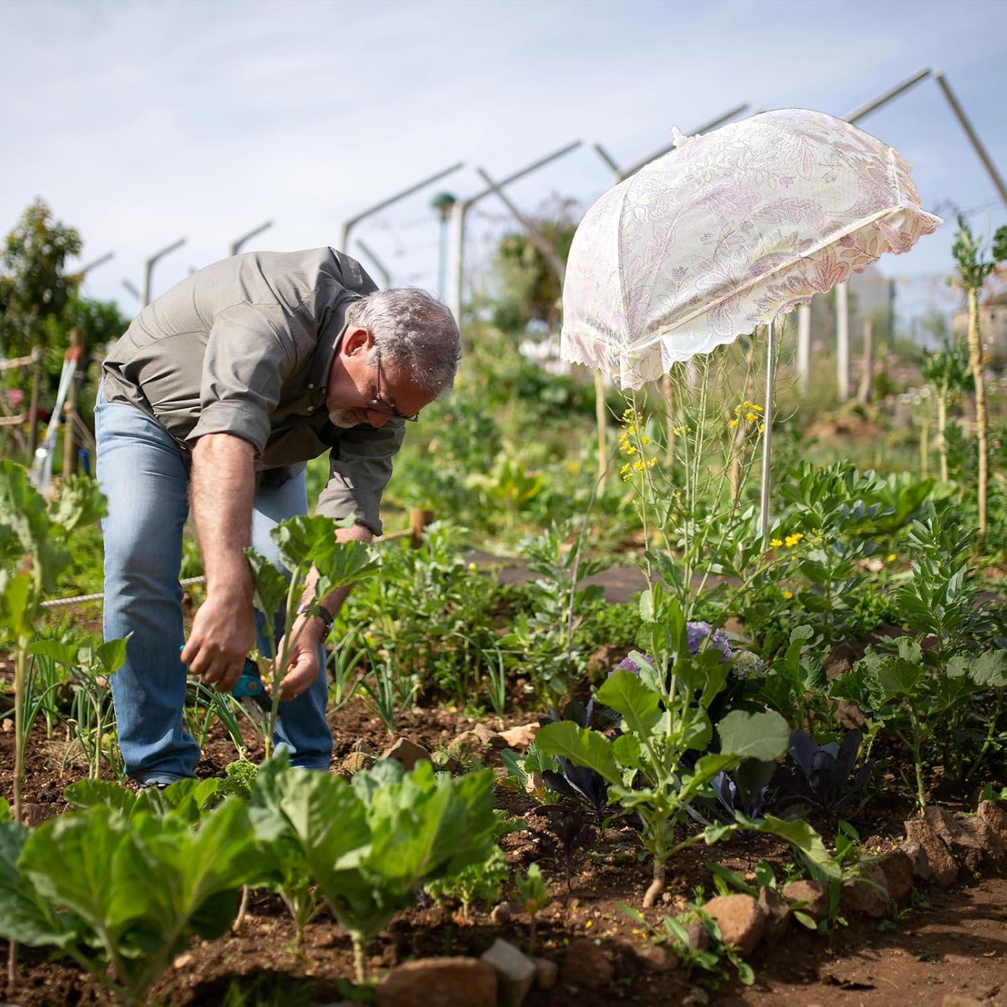 TIMSO Adjustable 3 Pack Plant Shade Umbrella for Outdoor Garden - Sun Protection Cloth & Umbrella for Plants, Potted Plants, and Garden Beds
