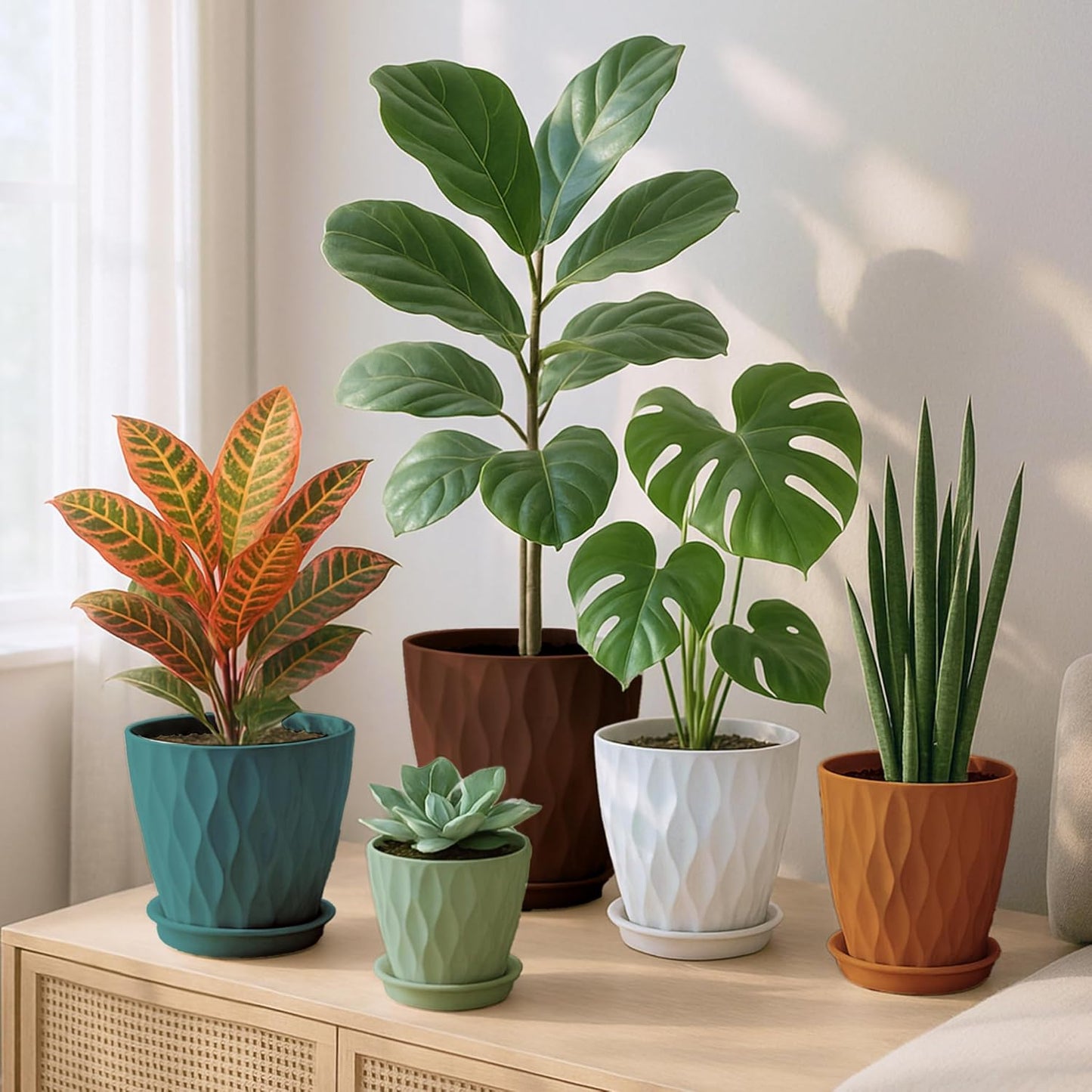 Plastic Plant Pots with Drainage Holes and Saucers, 8/7/6/5/4 Inches Garden Plant Flower Pots for Indoor Planter, 5 Pack Nursery Planting Pot for Indoor & Outdoor House Plants (Multicolor, 8/7/6/5/4)