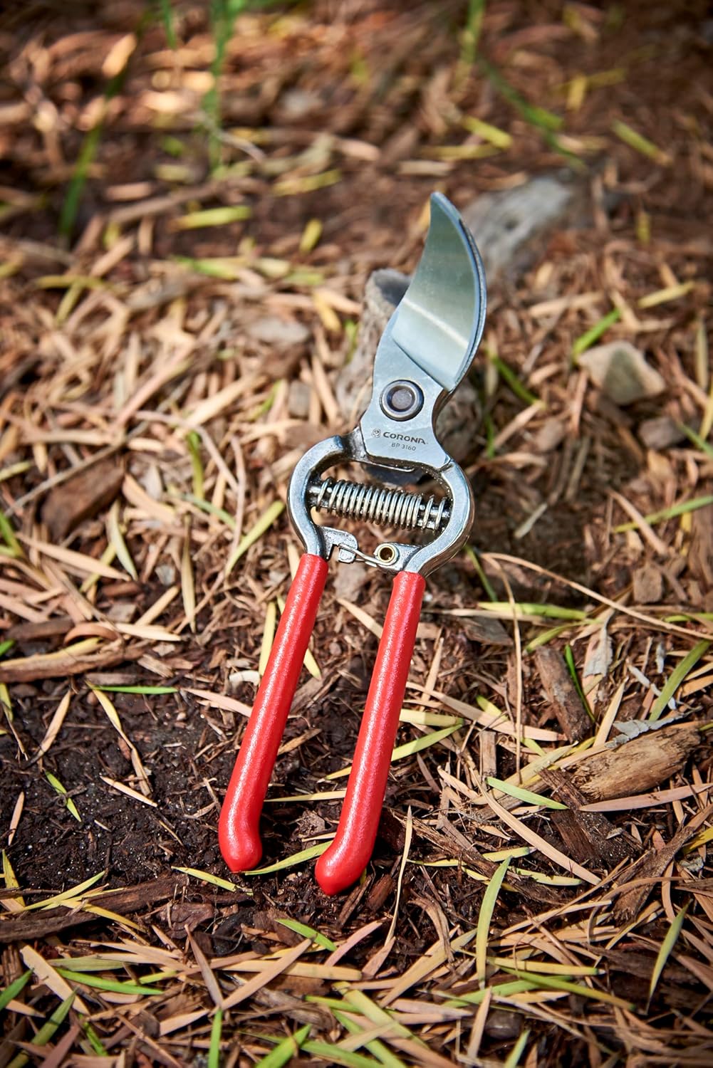 Corona ClassicCUT Forged Bypass Hand Pruner, Red, 3/4"