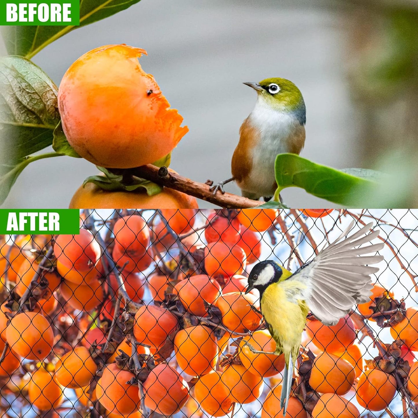 Bird Netting for Chicken Coop - 50x50ft Poultry Netting Over Chicken Run & Chicken Pen, Heavy Duty 2.4” Mesh Garden Net for Blueberry Bushes, Fruit Trees and Vegetable Against Birds, Deer, Squirrels