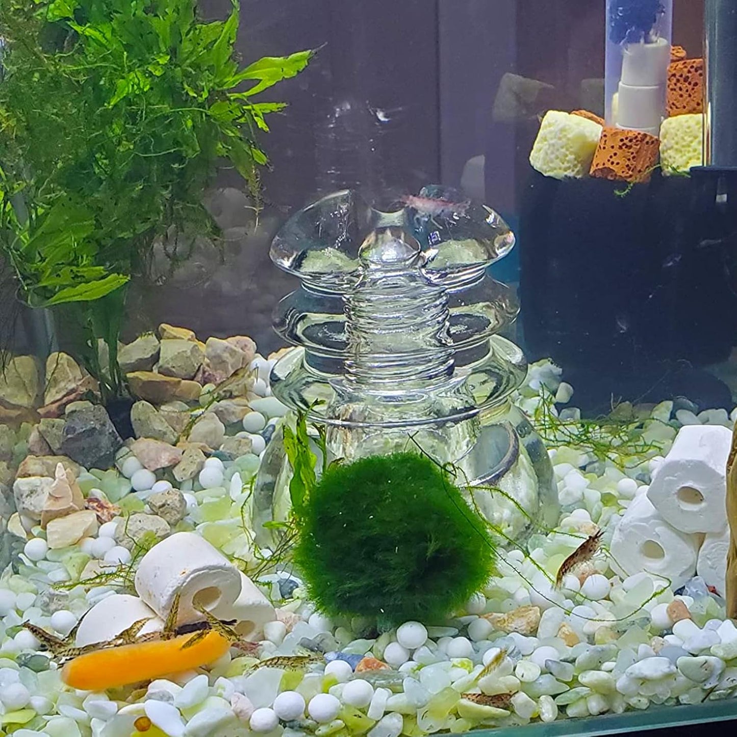 18lb Jade Bean Pebbles,1/4 Inch Cactus Bonsai DIY Rocks, Natural Succulent Rock and River Rocks Decorative for Aquariums, Vases, Terrarium, Outdoor Gardening, Top Dressing for Potted Plants