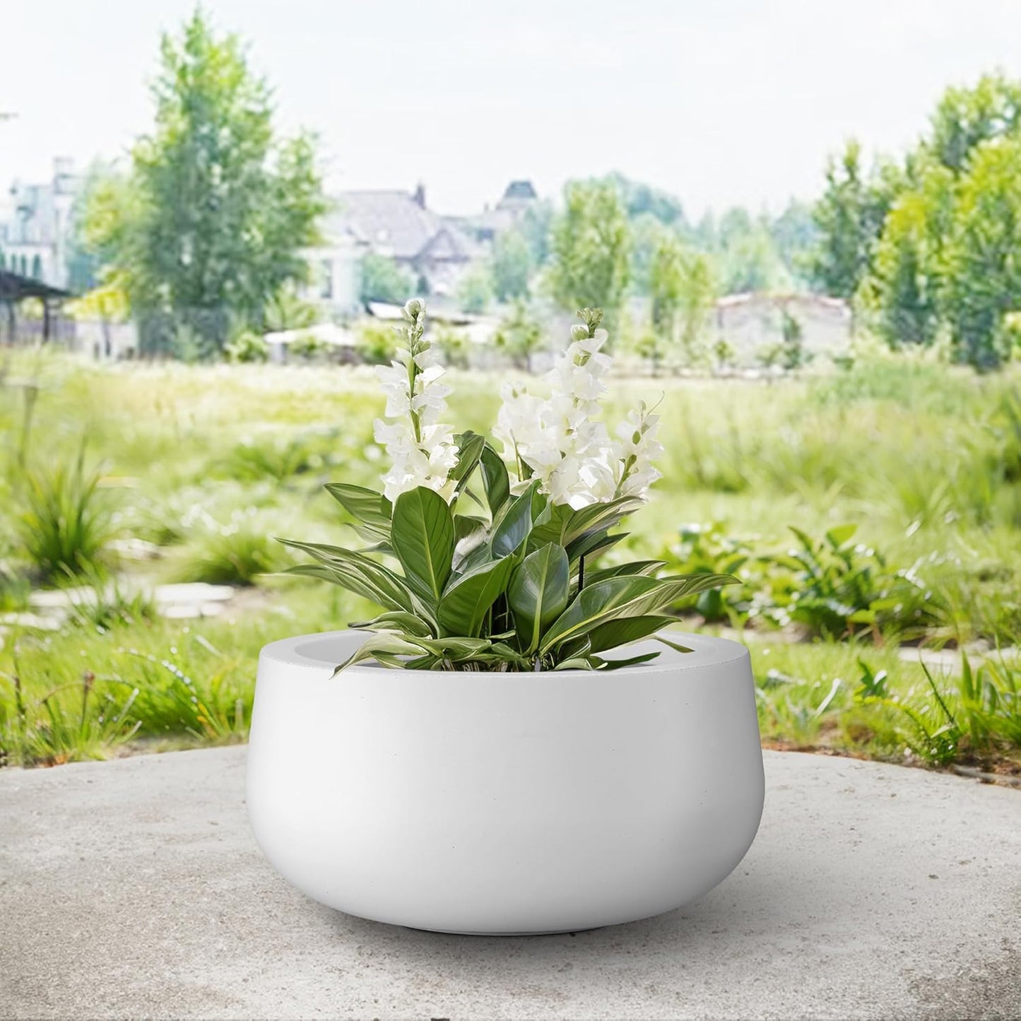 Kante 11.8" Dia Round Concrete Planter, Cement Plant Pots with Drainage Hole and Rubber Plug for Outdoor Indoor Garden Home, Modern Curvaceous Design, Pure White