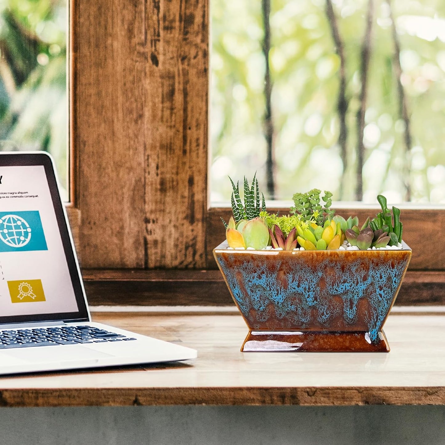 ARTKETTY Succulent Pots - 7 Inch Large Plant Pot with Drainage, Shallow Ceramic Succulent Planters for Indoor Outdoor Plants, Modern Cactus Bonsai Plant Container Decorative Home Office