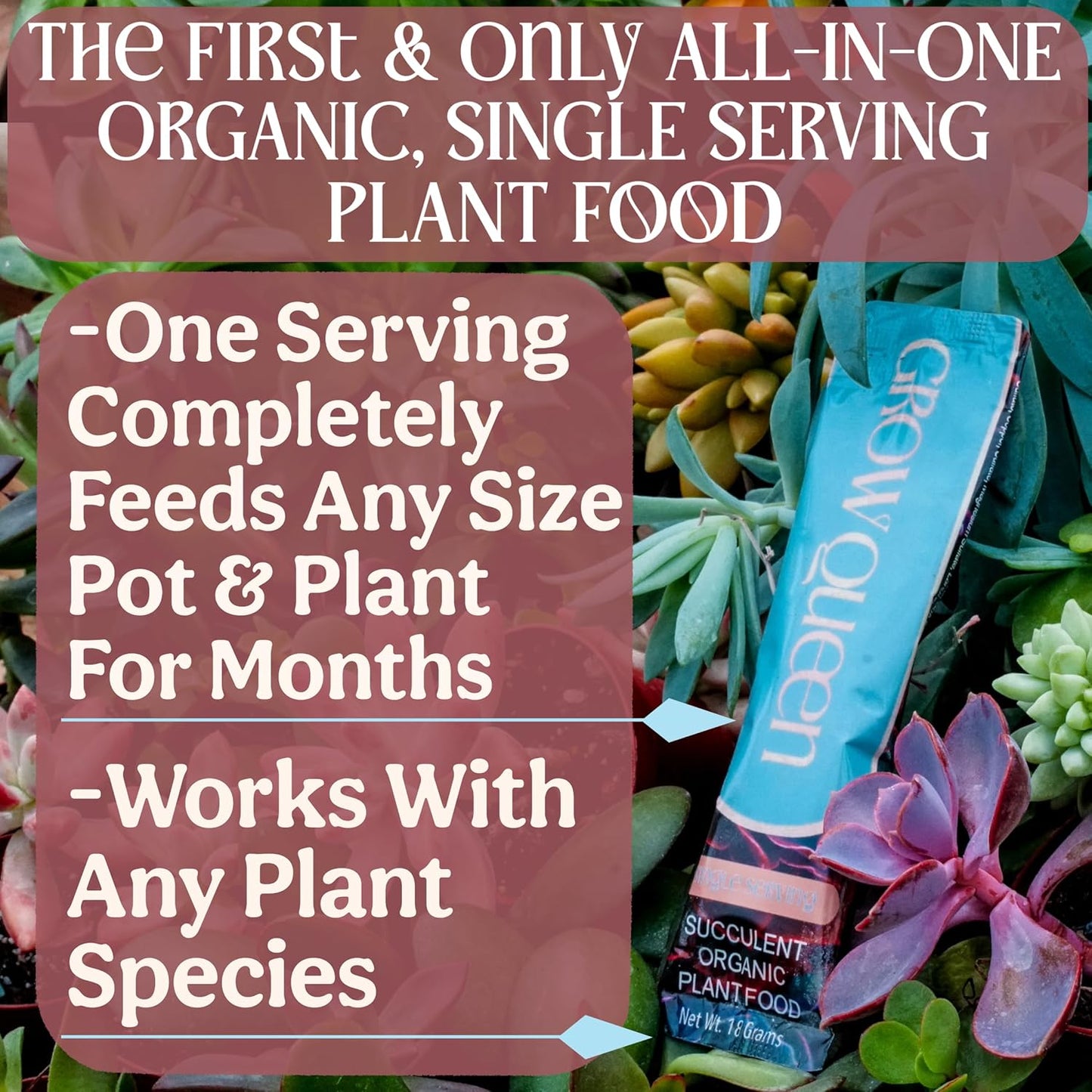 Complete Organic Cactus & Succulent Fertilizer, Succulent Plant Food & Cactus Food, Bonsai, Snake Plant Fertilizer, 11 Servings Fast & Slow Release Feeds up to 44 Plants 8 Months