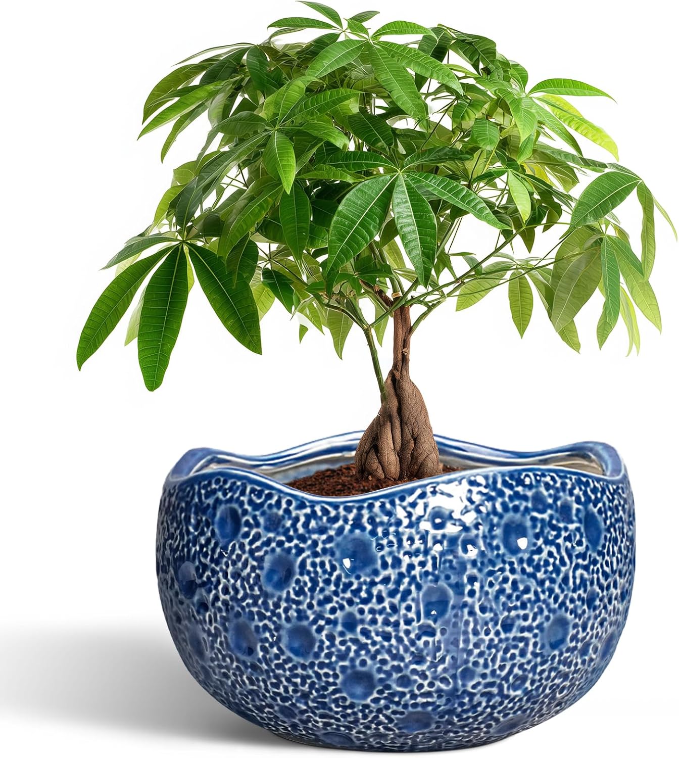 10 Inch Plant Pot - Ceramic Pots for Plants Indoor Outdoor, Round Bonsai Pots with Drainage Hole, Decorative Flower Pot, Modern Unique Planters, House Decor, Housewarming Gifts, Blue