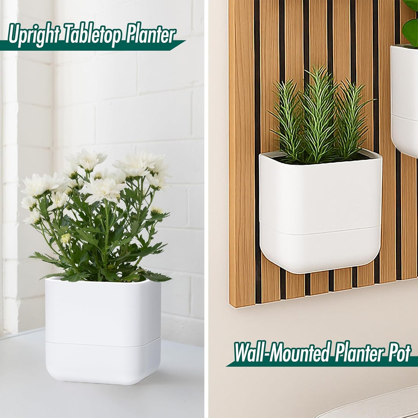Phoenix Vine 6.5-Inch Wall Mounted Self-Watering Planter Pot for Indoor Houseplants and Herbs | Modern Hanging Planter for Window Sills, Bathroom Walls, Home & Office Décor, White, Set of 2, 01-WP-W-2