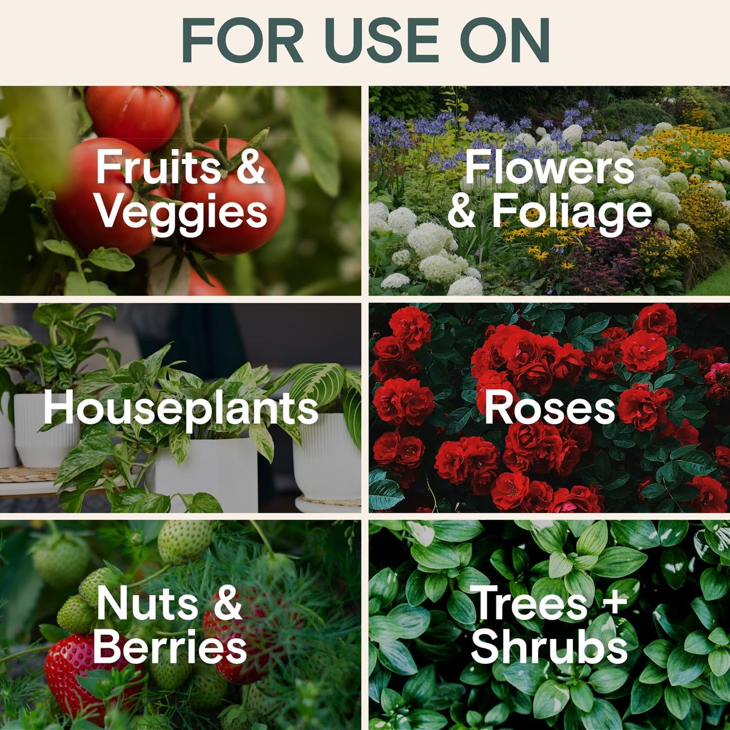 Organic Insecticide Liquid Concentrate – Natural Plant Insect Spray for Indoor & Outdoor Use, Fungus Gnat, Aphid & Spider Mite Control – Houseplant & Garden Insect Killer