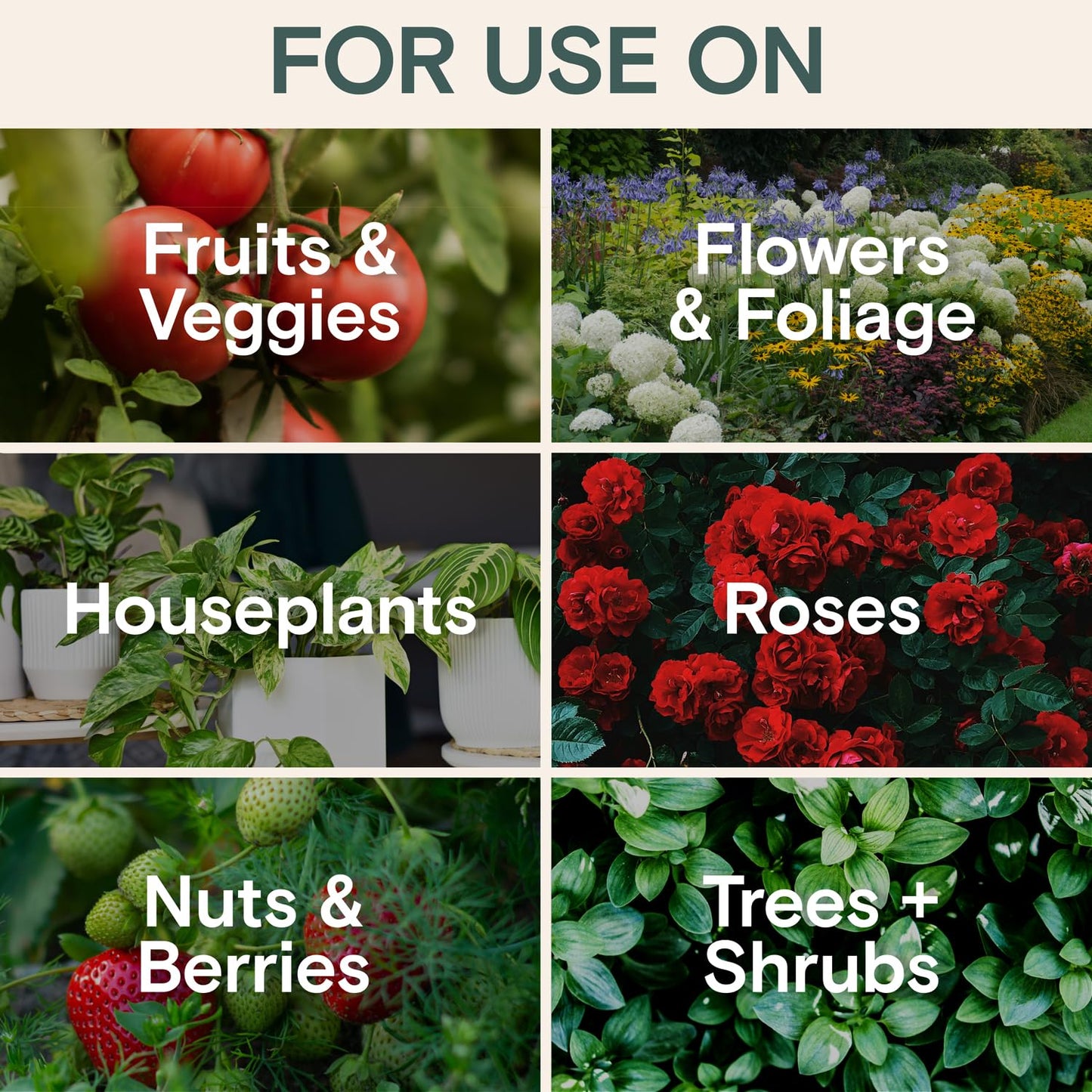 Organic Food & Fertilizer – Liquid Nutrients for Houseplants, Indoor & Outdoor Growth, House Fertilizer for Vegetables, Flowers, Monstera, Bougainvillea, Money Tree - (Organic Nutrition & Health Set)