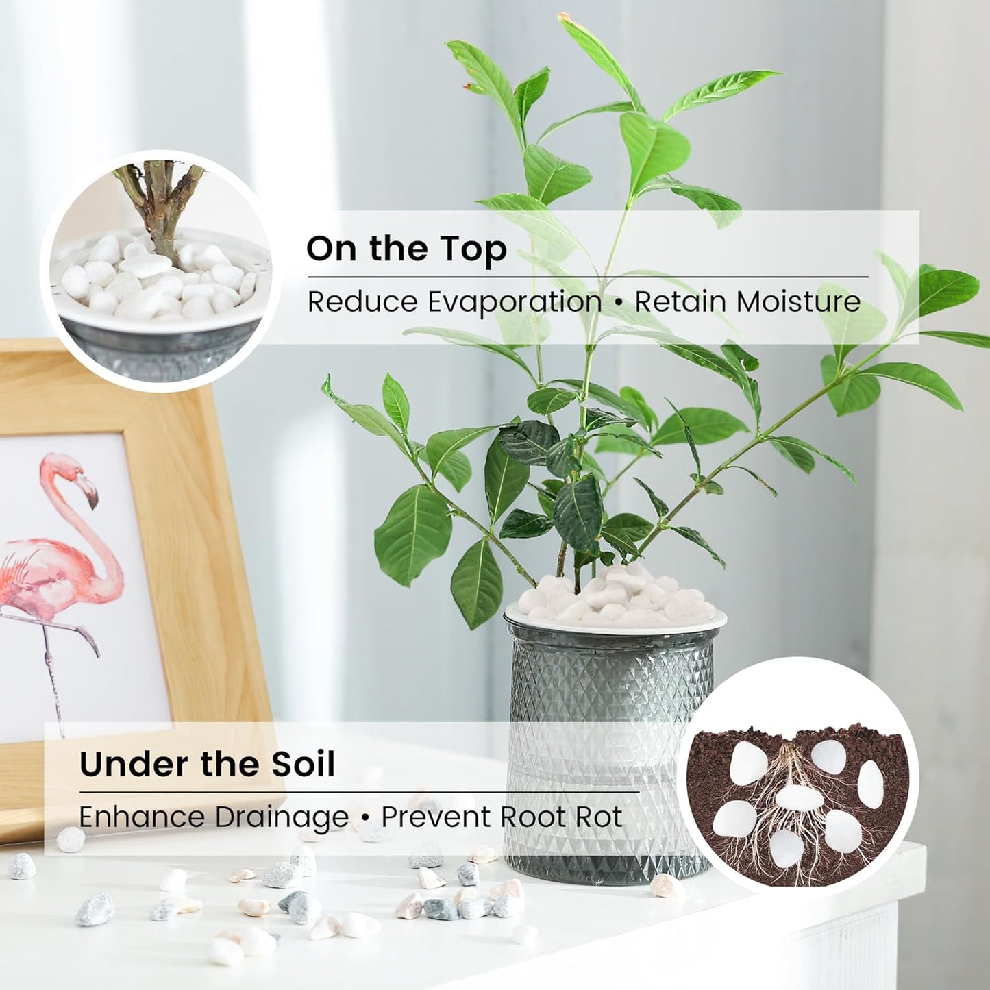 SIDONG 10 LB White River Rocks, 0.3-0.5 Inches Matte Pebbles for Indoor Plants, Aquarium Rocks Used in Fish Tank, Decorative Stones for Plants, Vases, Home Décor, Crafting, Garden Landscaping